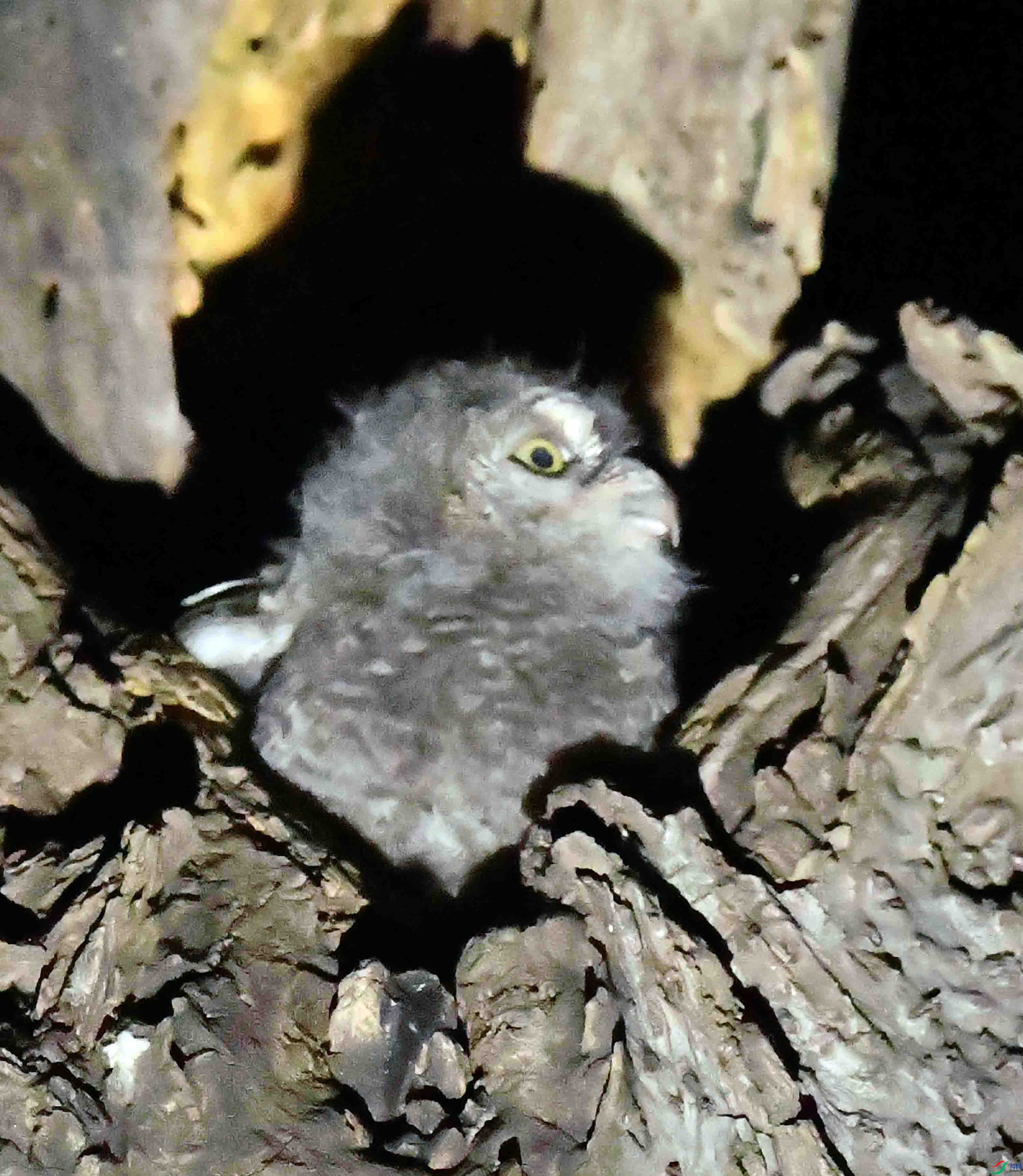 DSC_4428.JPG