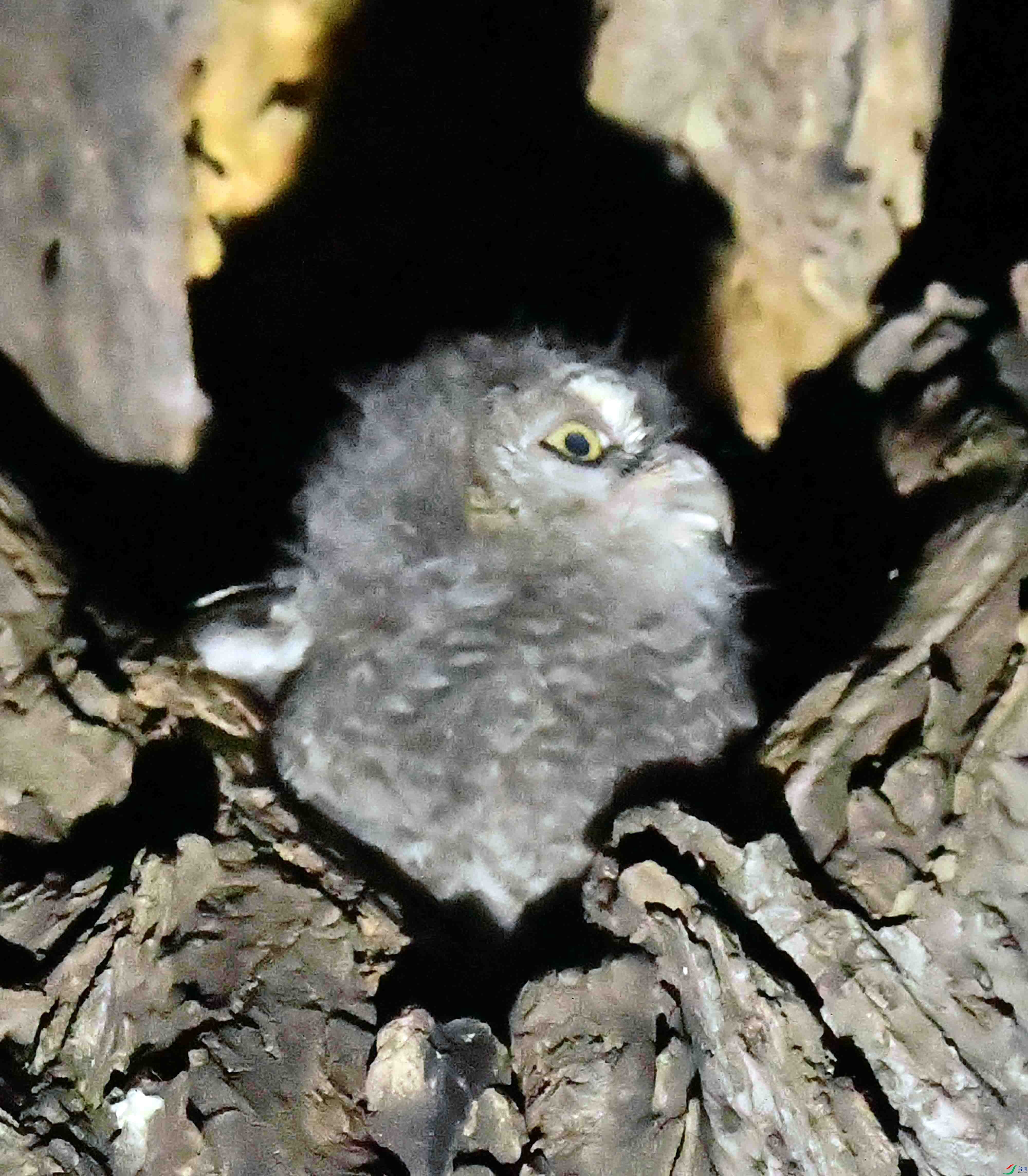 DSC_4426.JPG