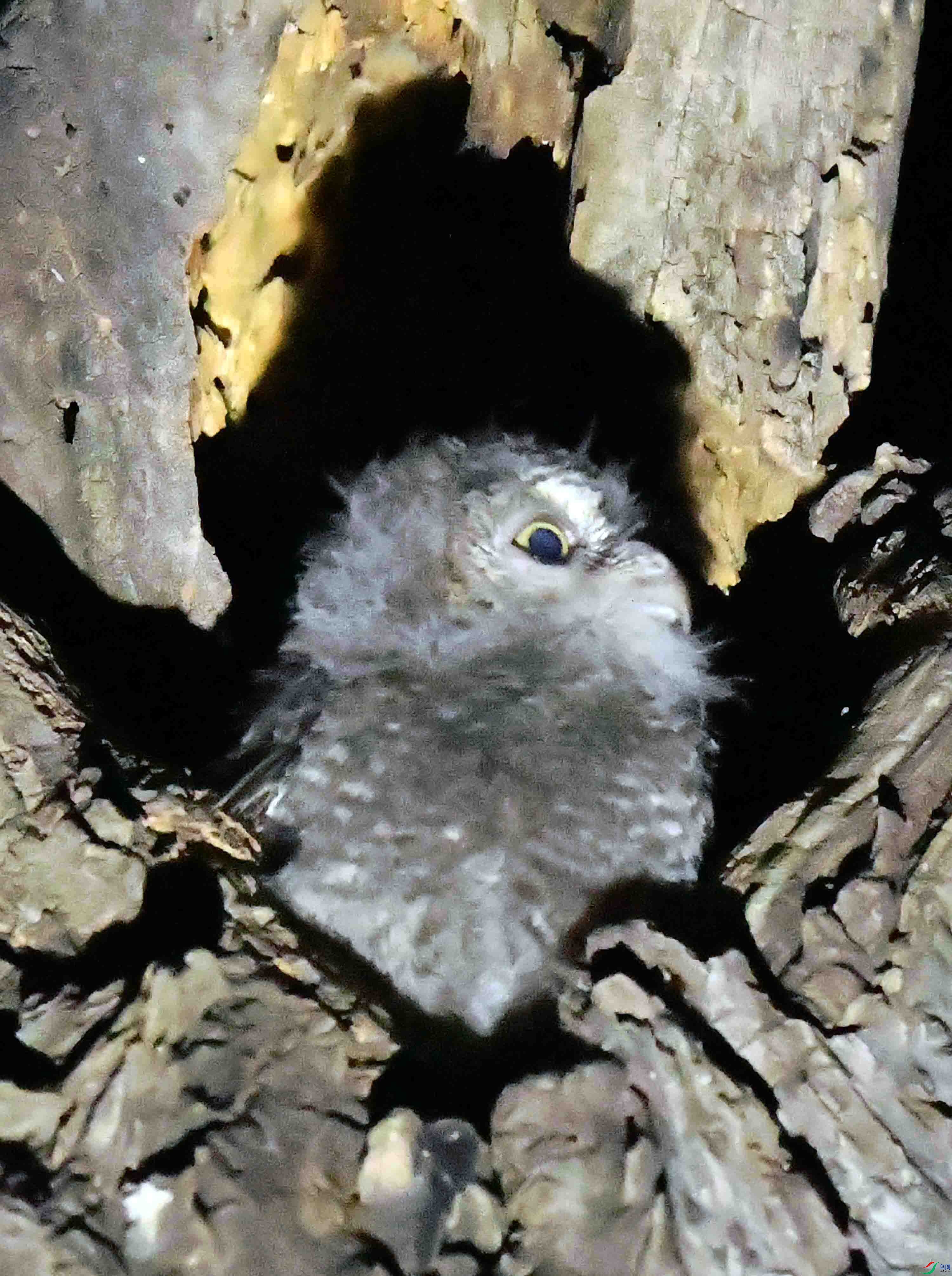 DSC_4434.JPG