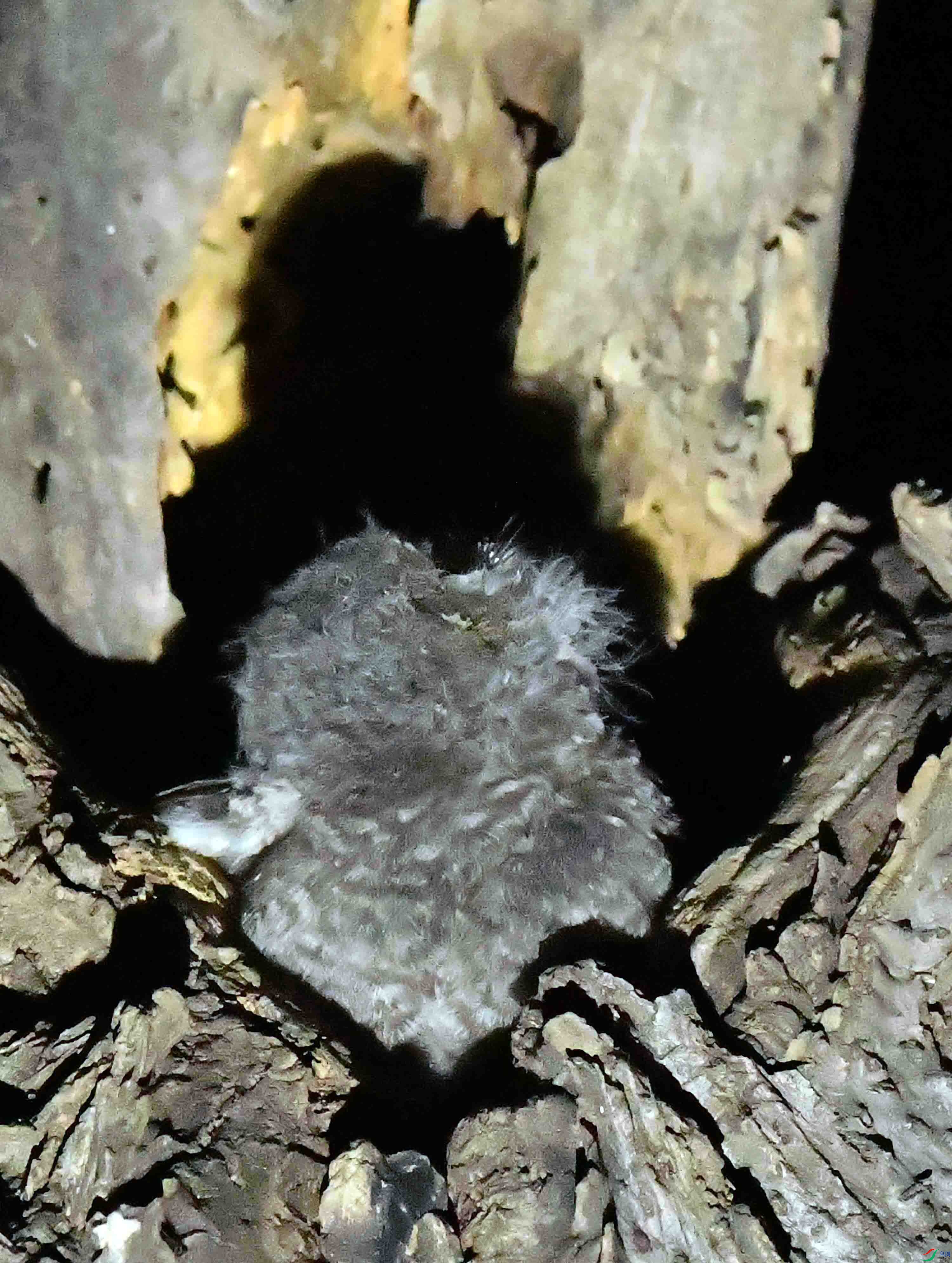DSC_4430.JPG