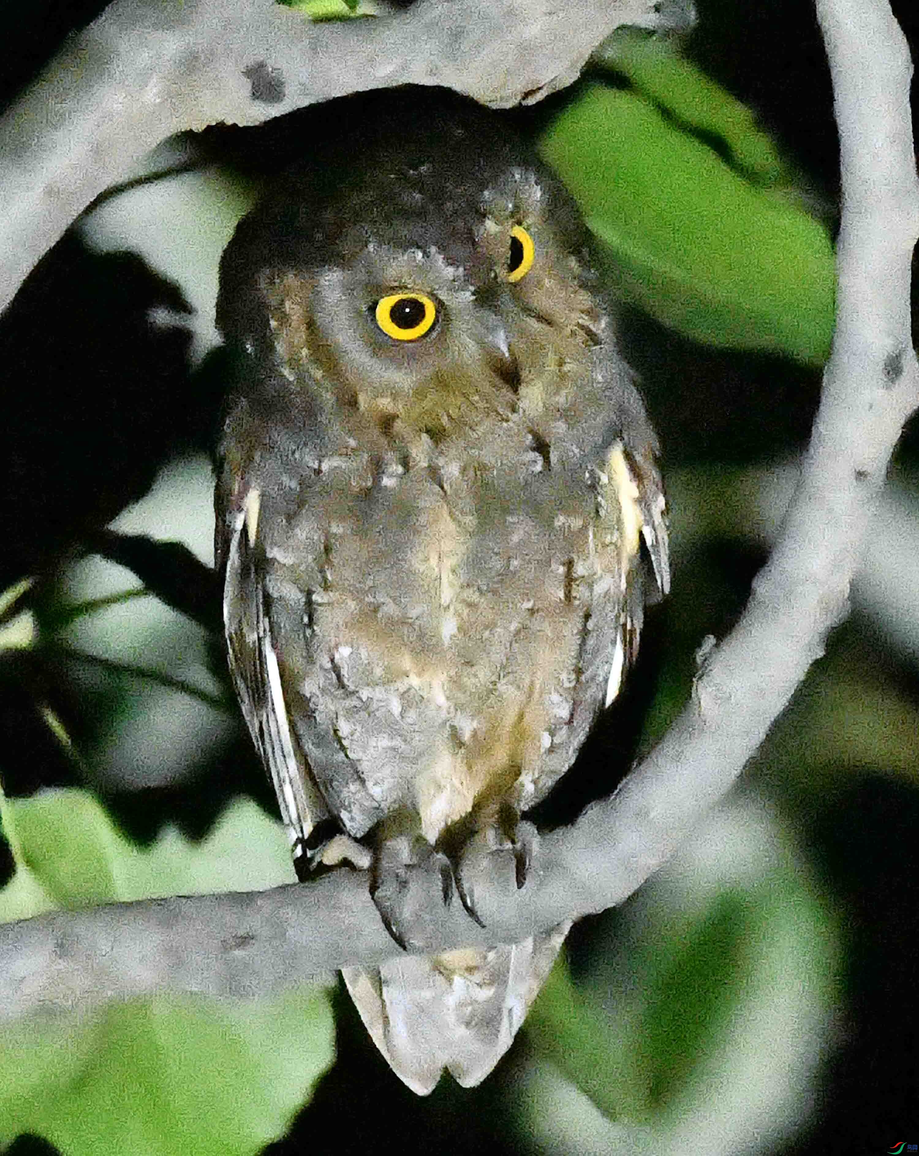 DSC_4110.JPG
