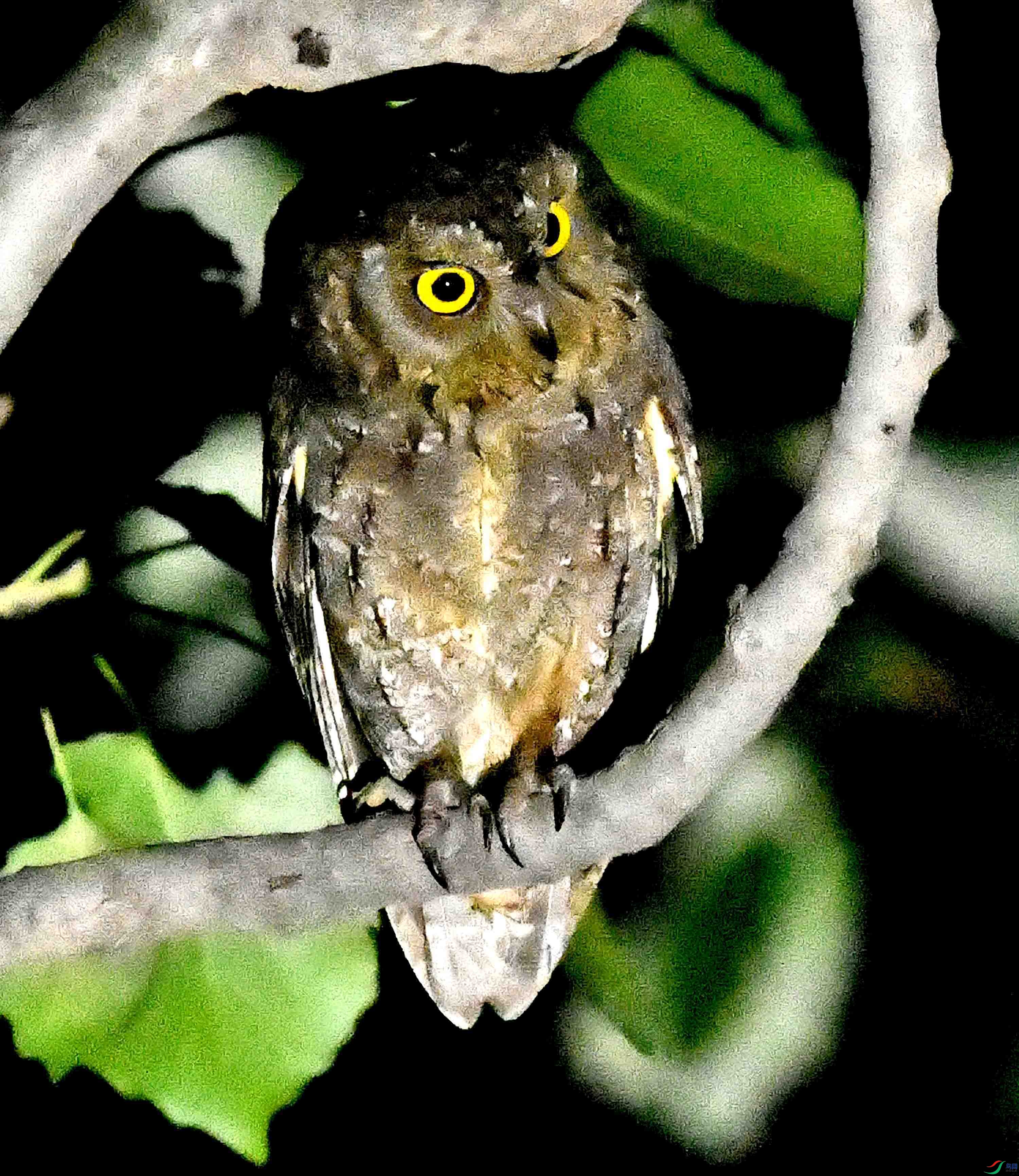 DSC_4452.JPG