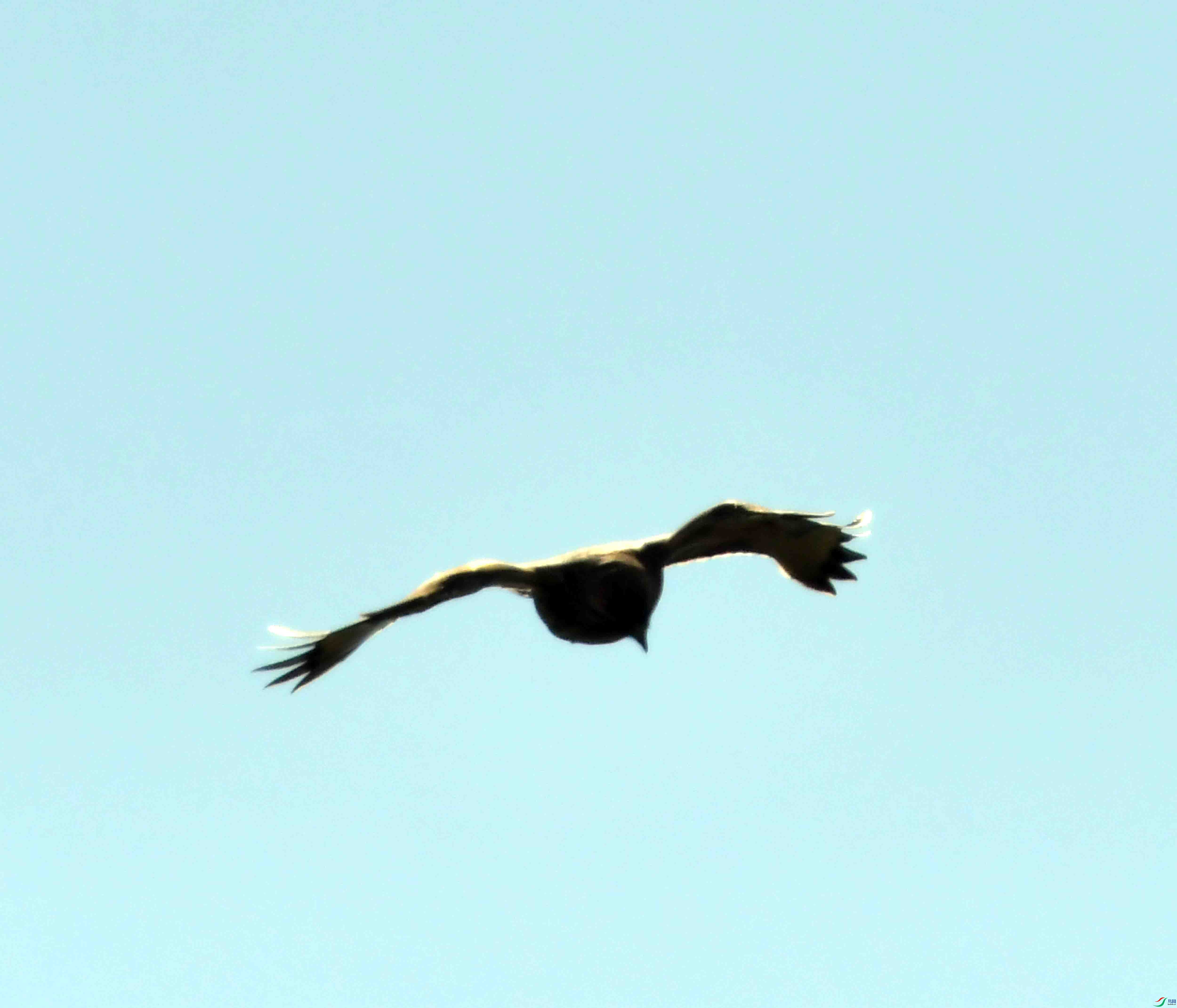 DSC_9035.JPG