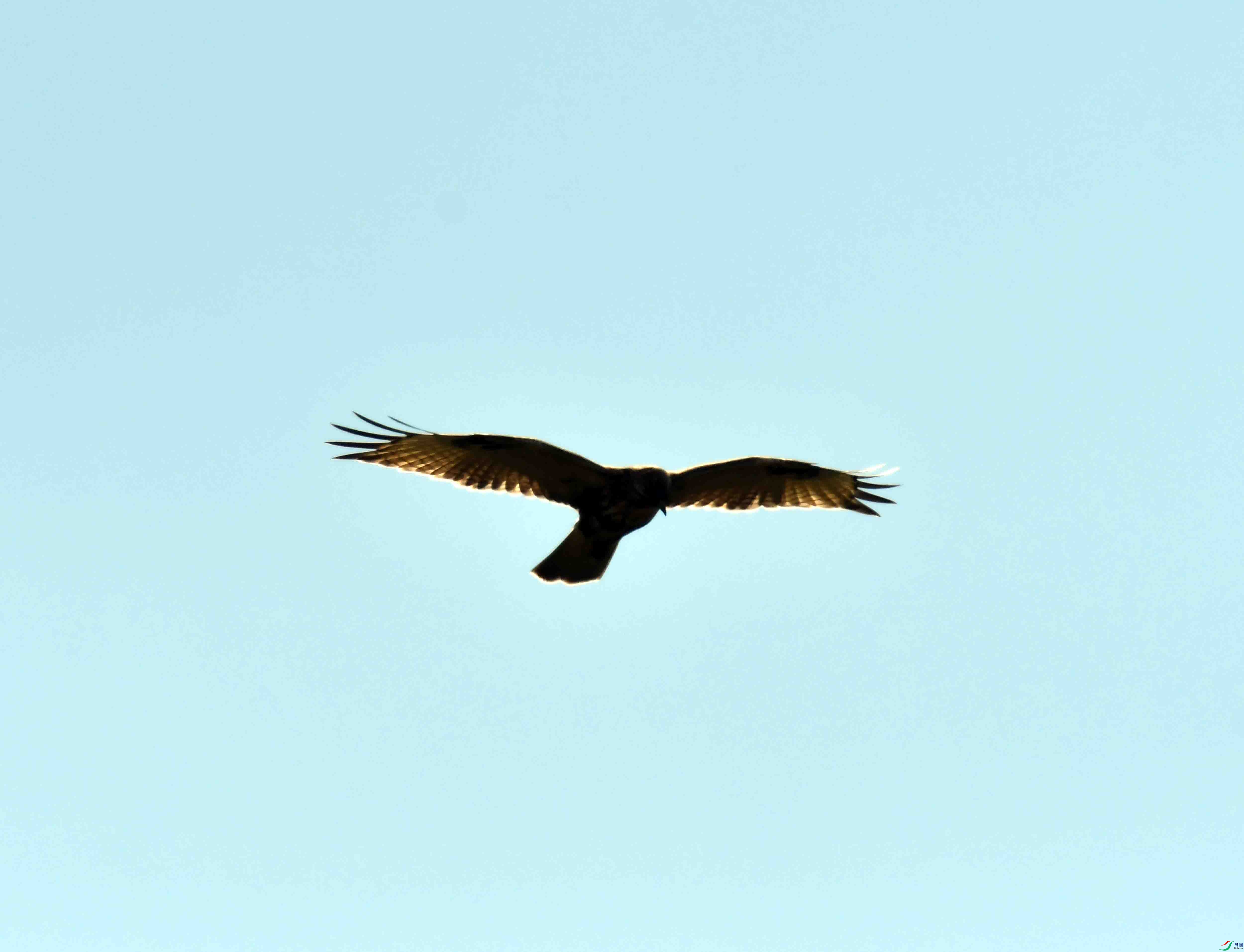 DSC_9037.JPG