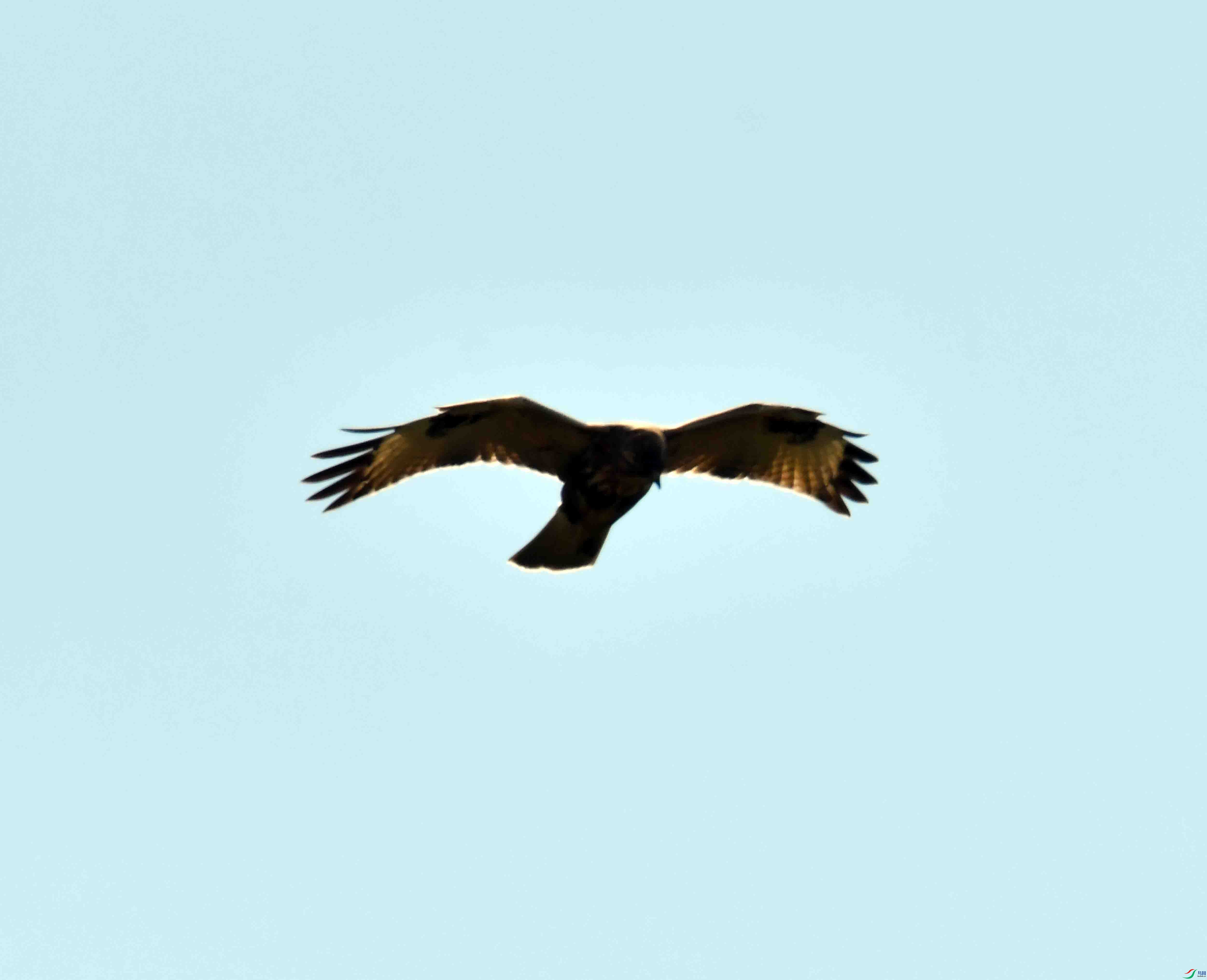 DSC_9038.JPG