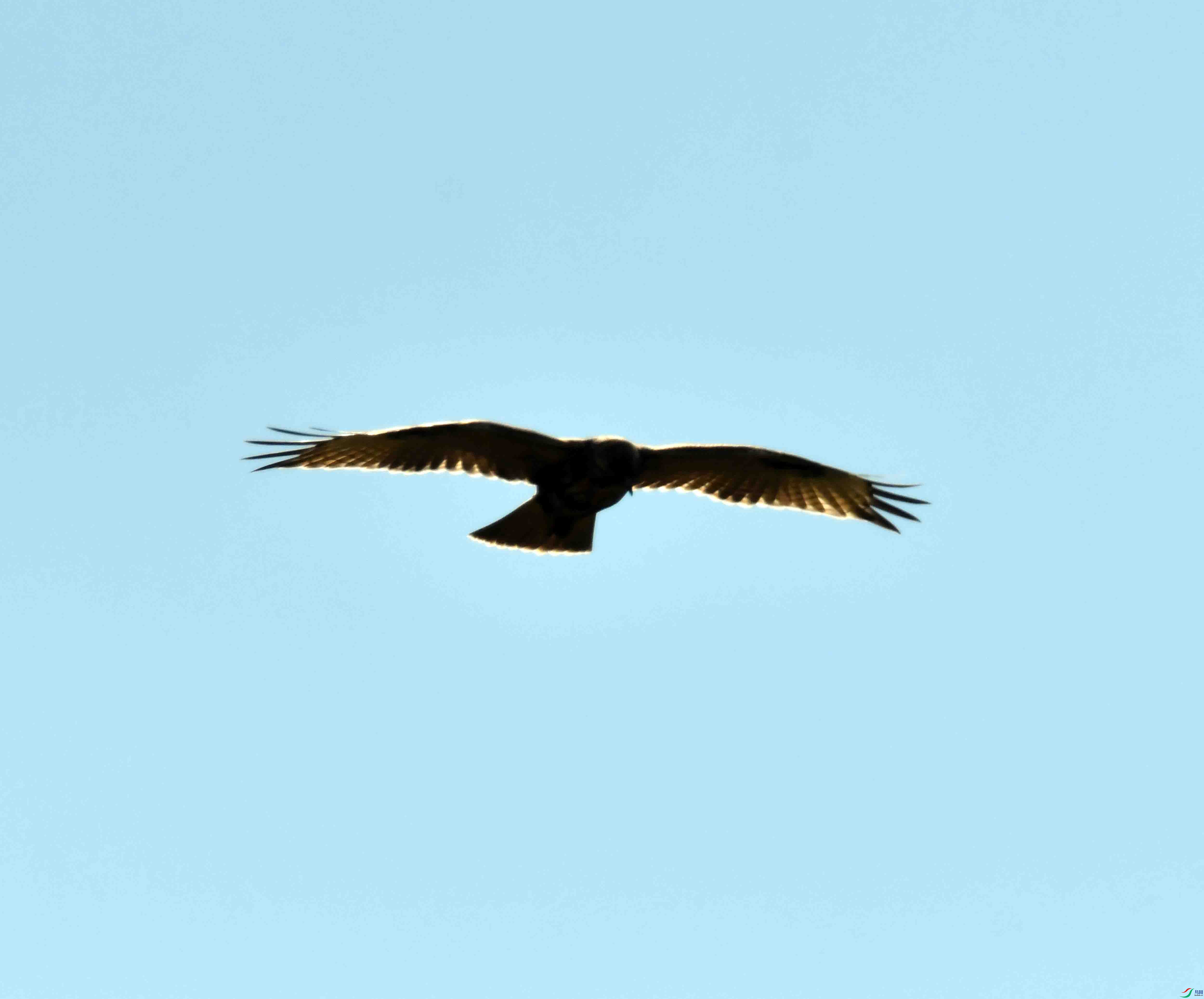 DSC_9039.JPG
