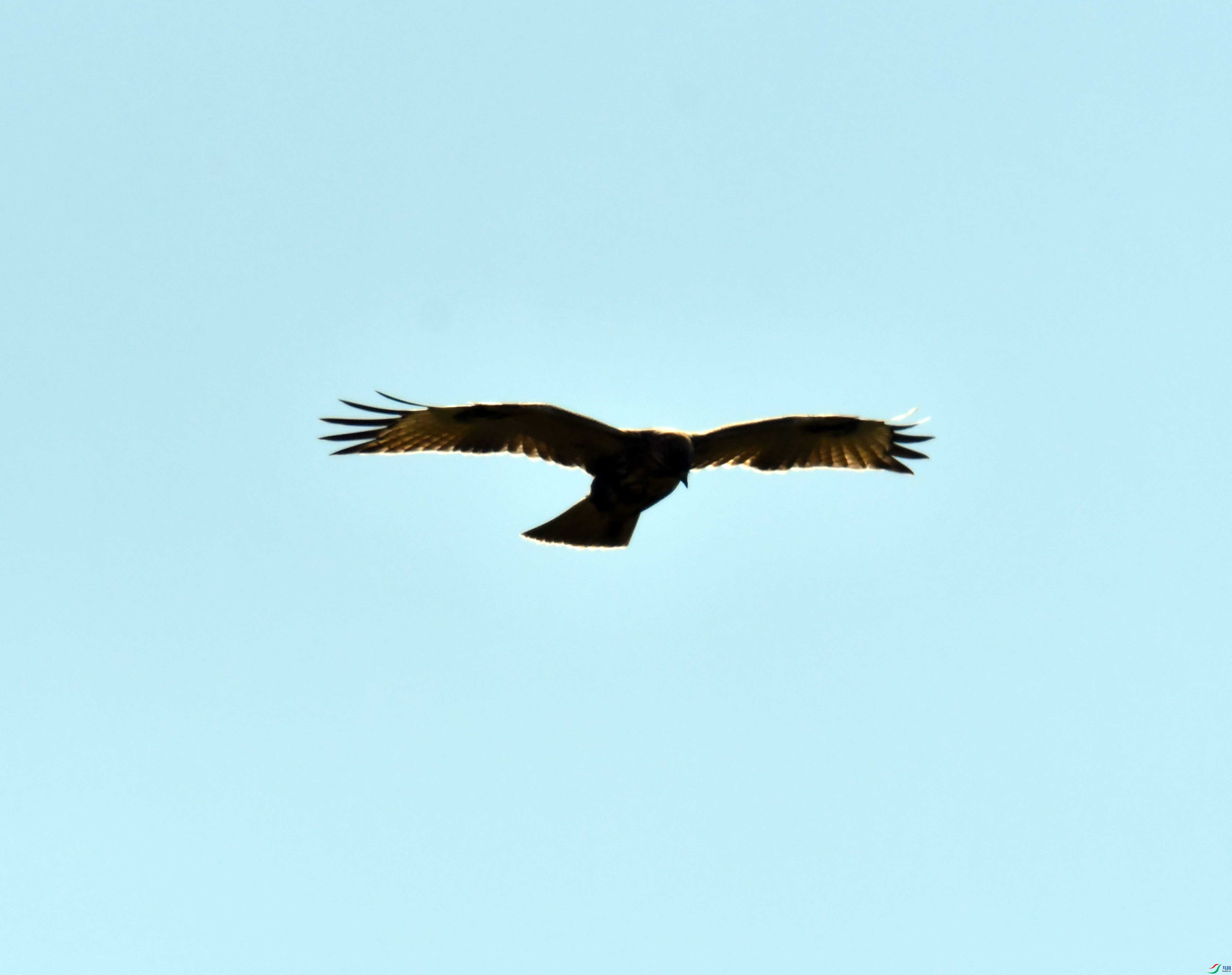 DSC_9041.JPG