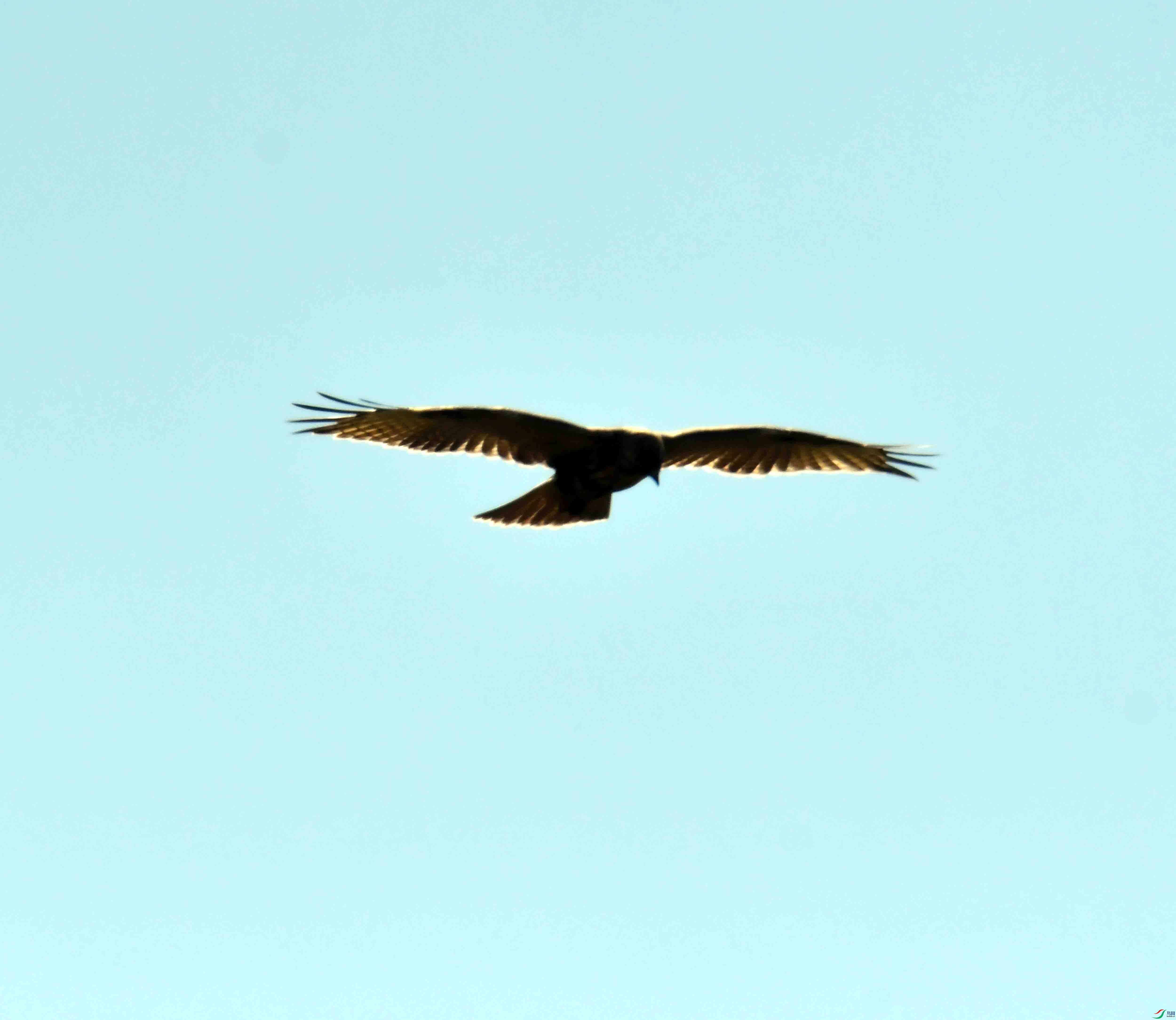 DSC_9043.JPG