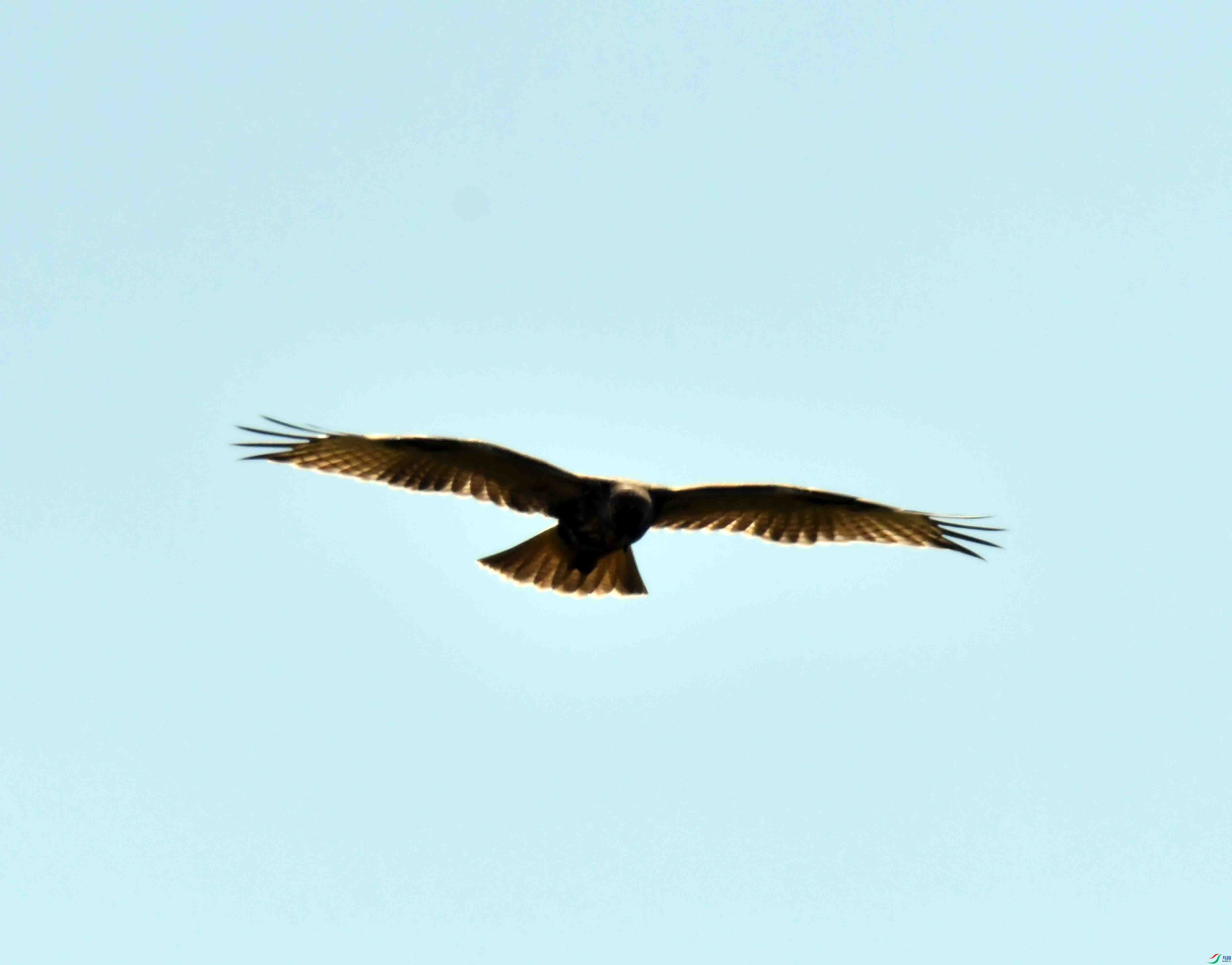 DSC_9045.JPG