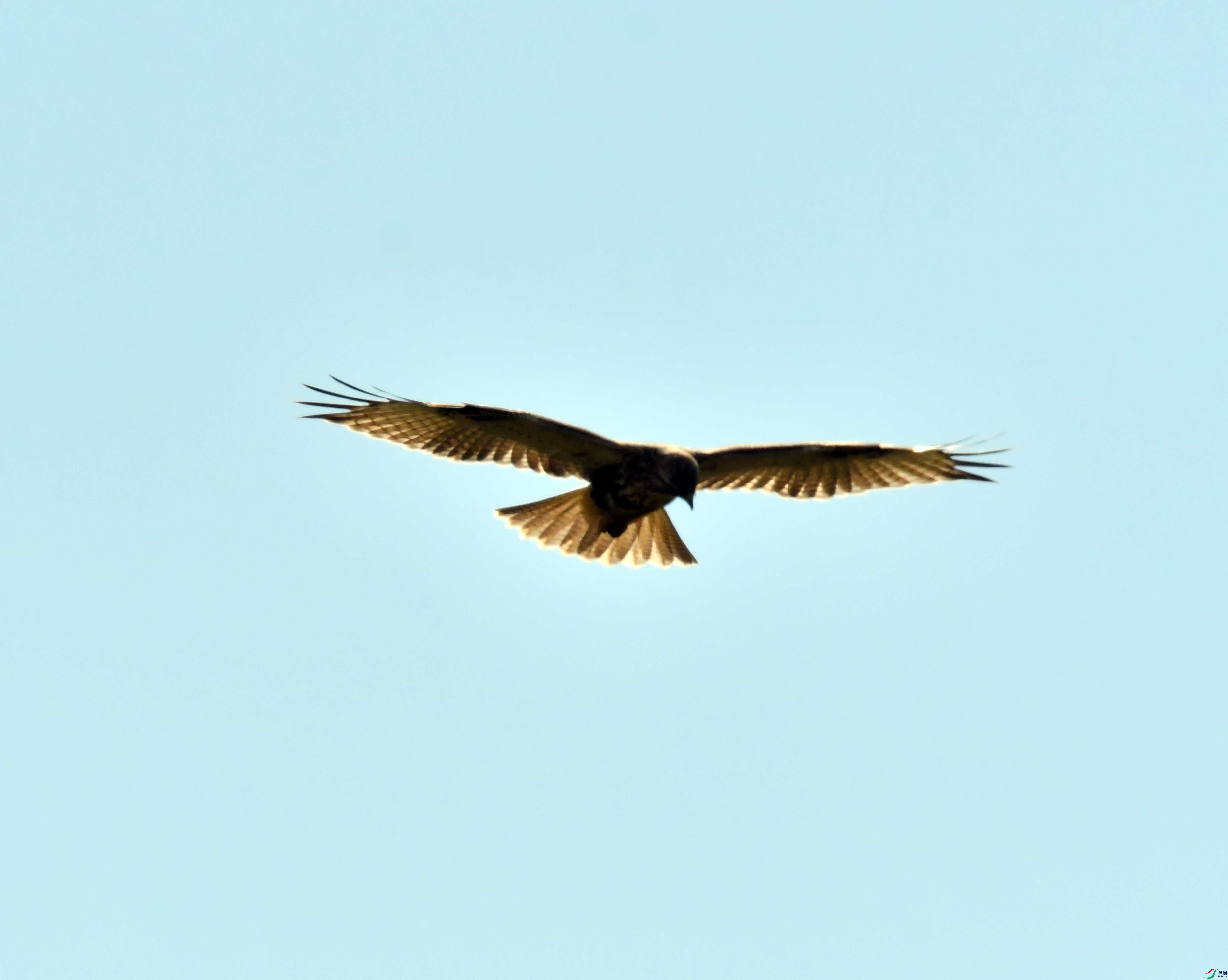 DSC_9046.JPG