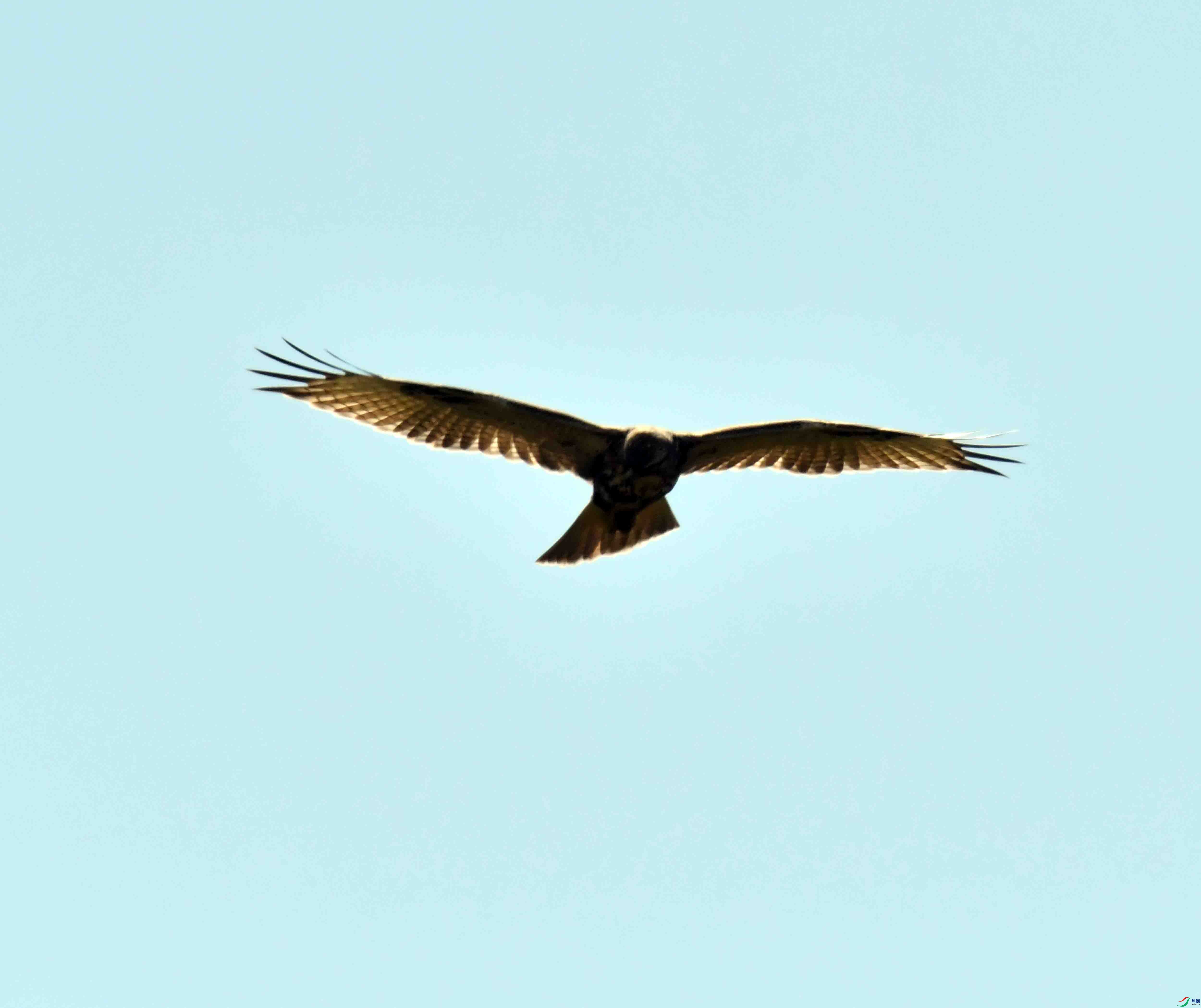 DSC_9044.JPG