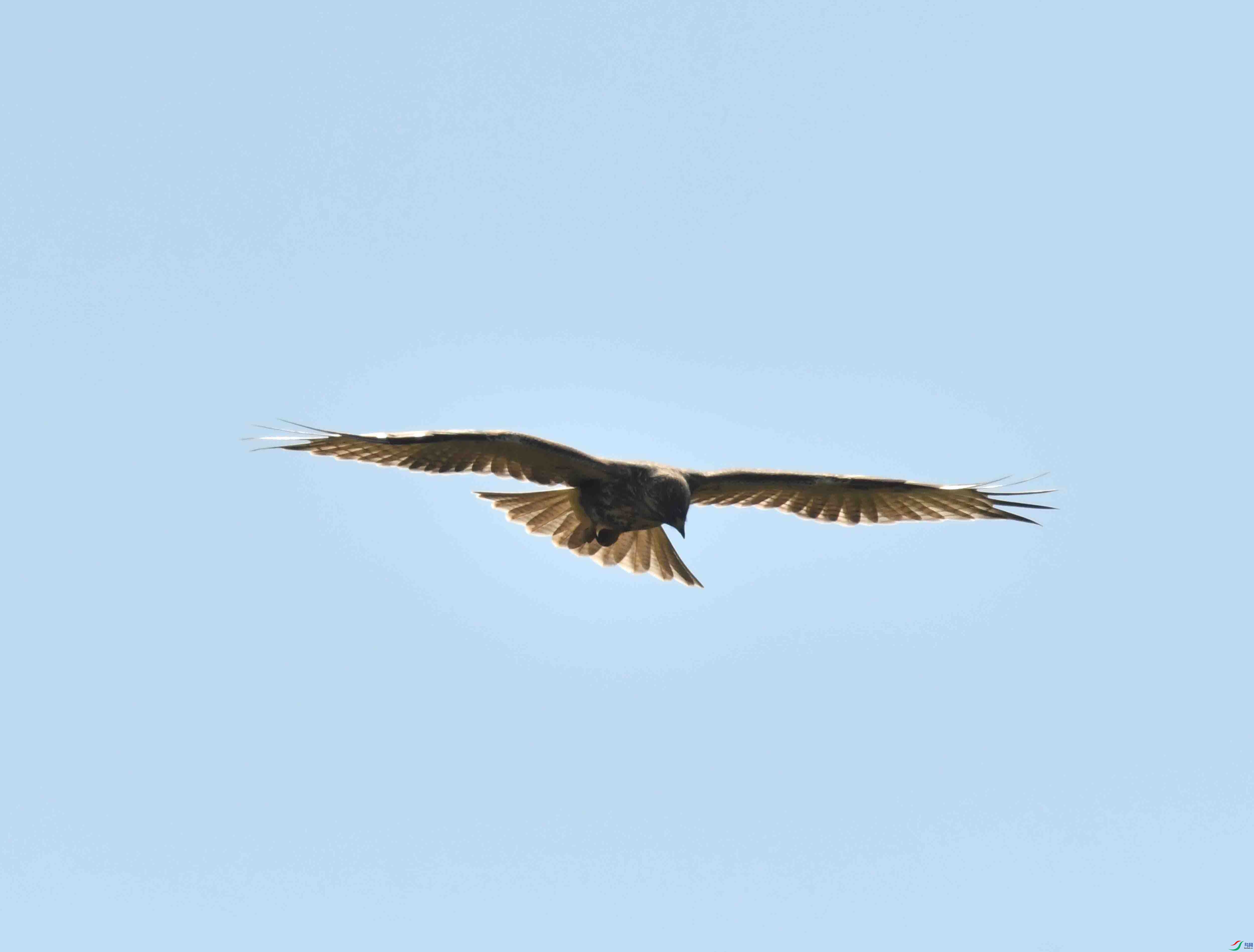 DSC_9048.JPG