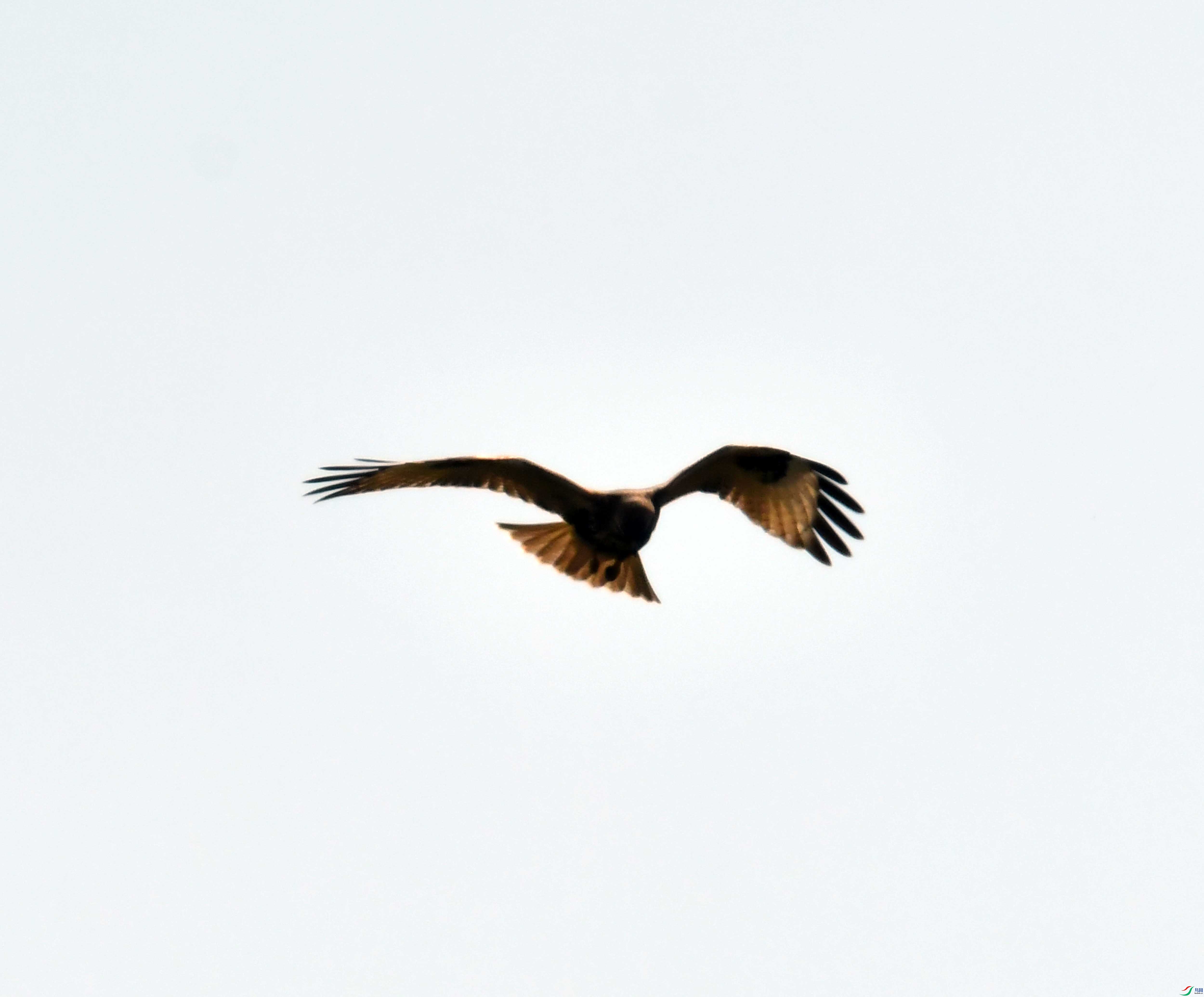 DSC_9049.JPG