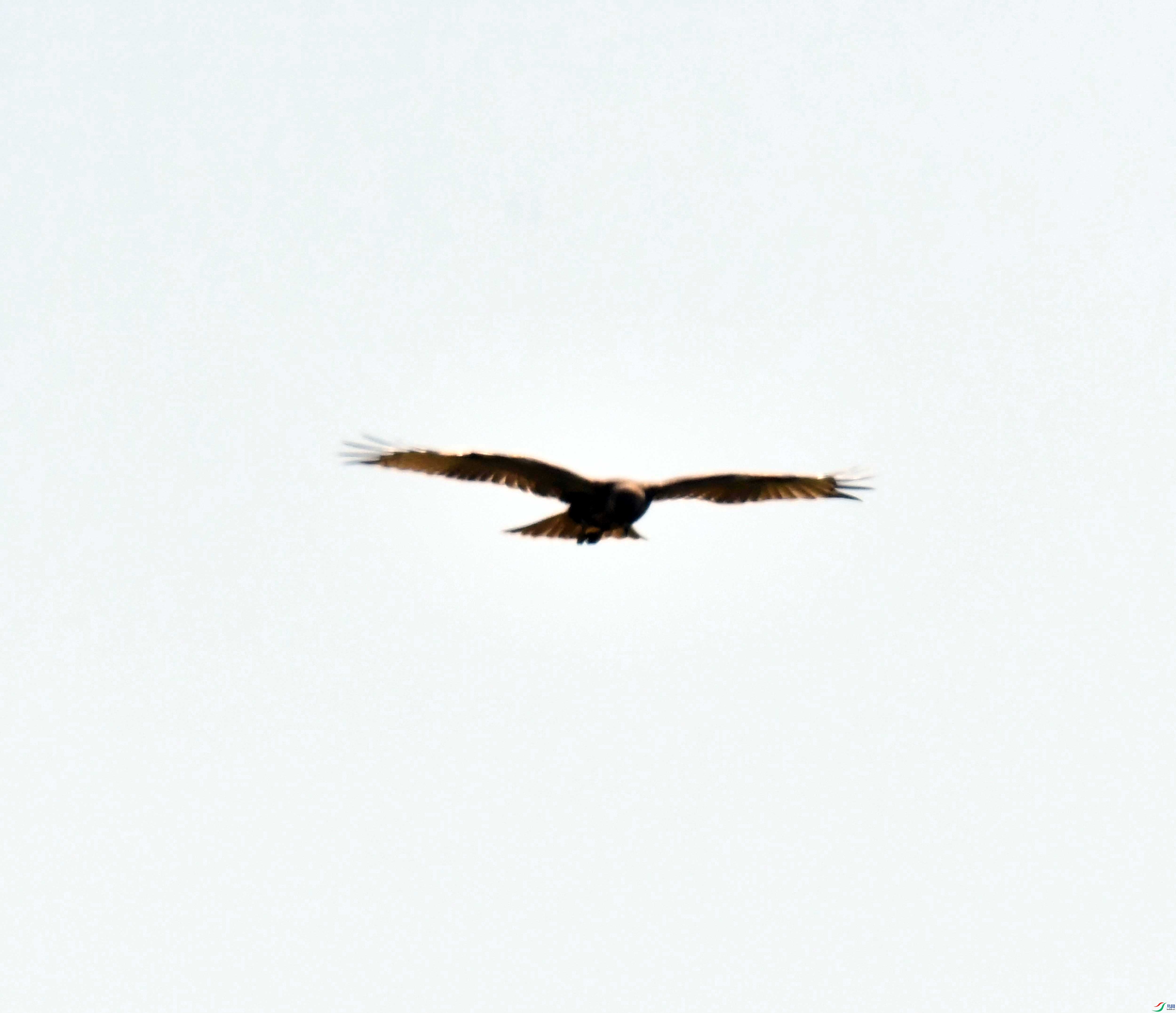 DSC_9050.JPG