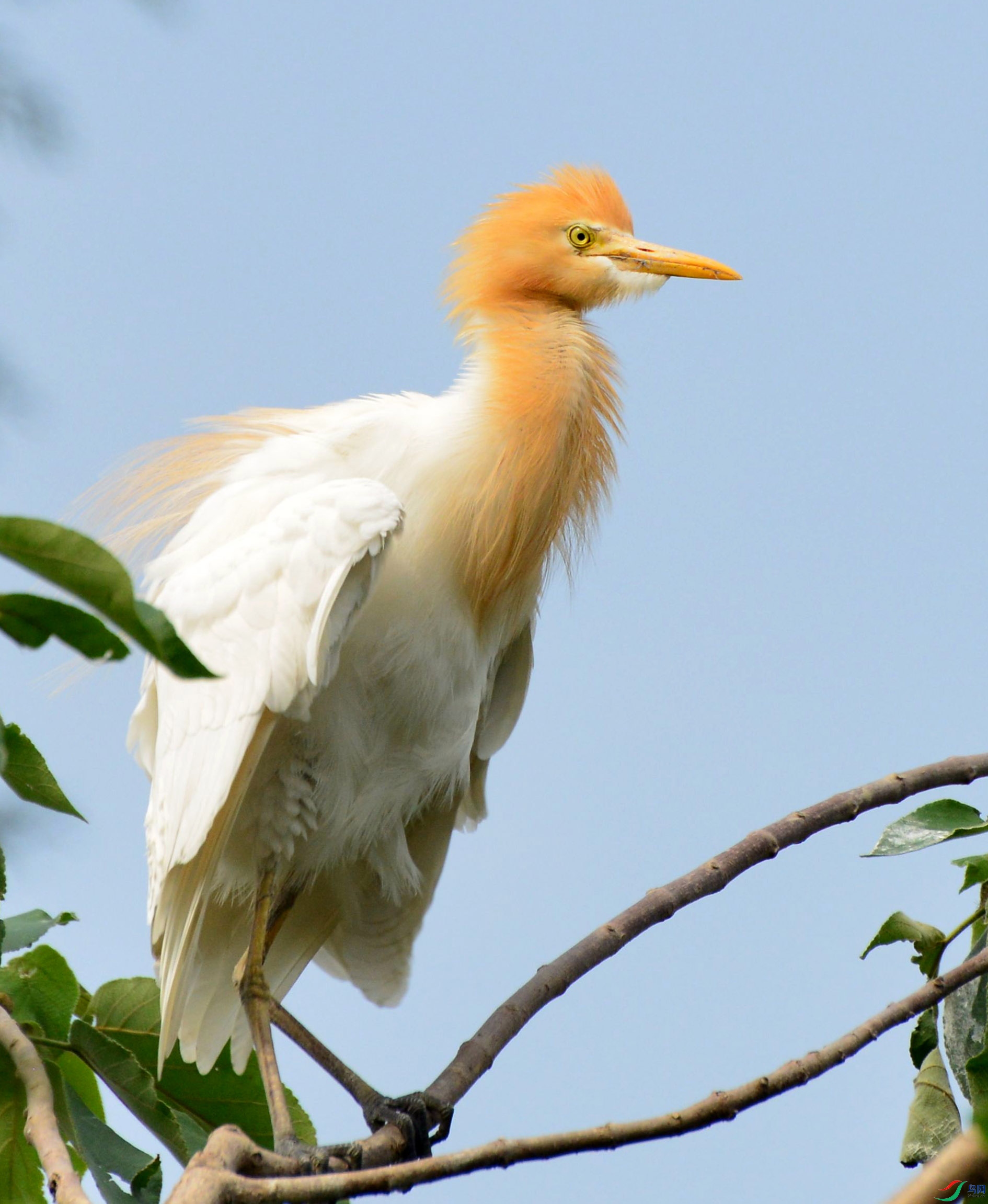 DSC_4355.JPG