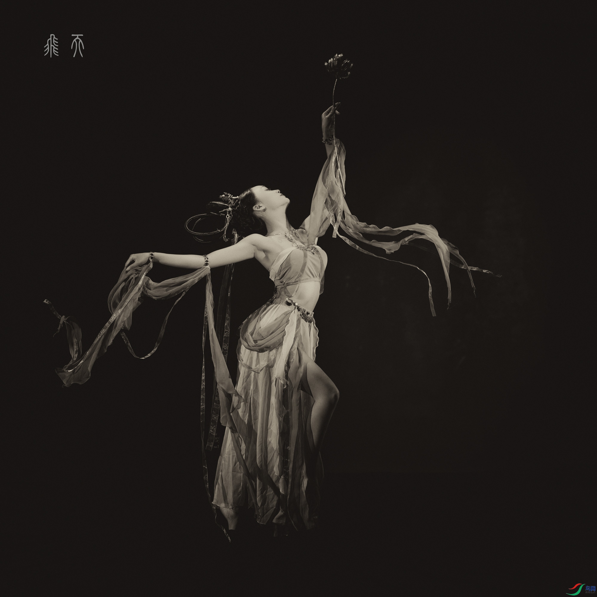DSCF5359.jpg