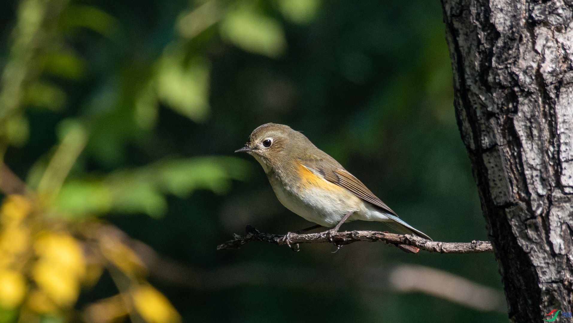 DSC_4509.jpg