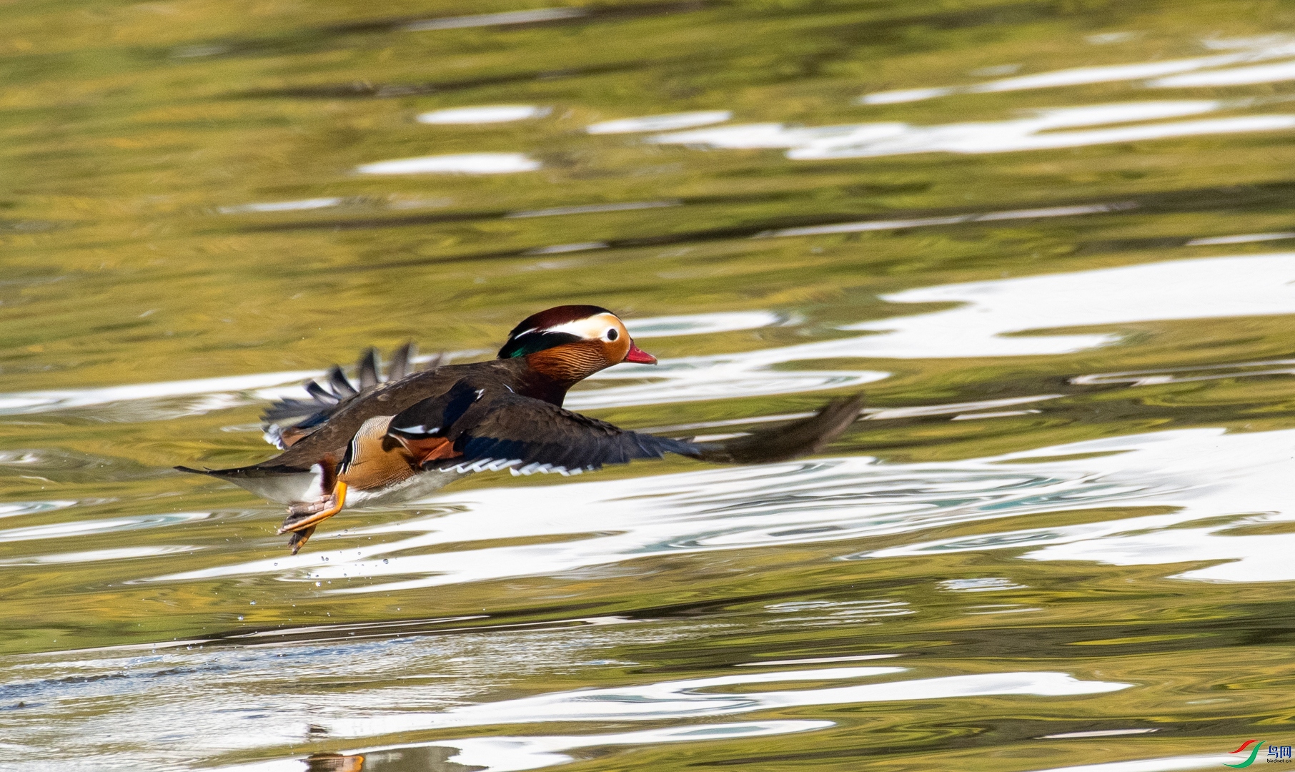DSC_5035.jpg