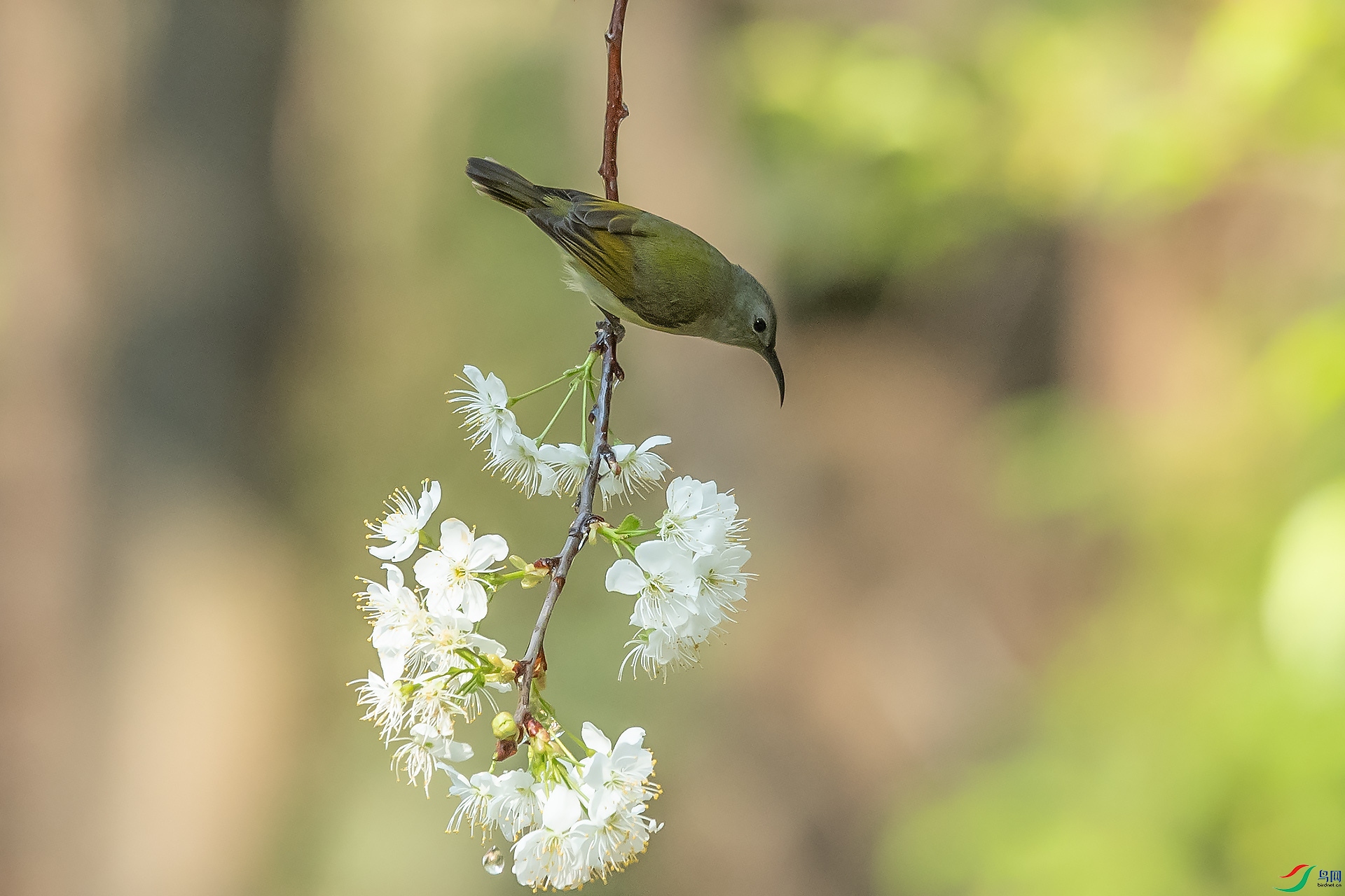 DSC_9751.jpg