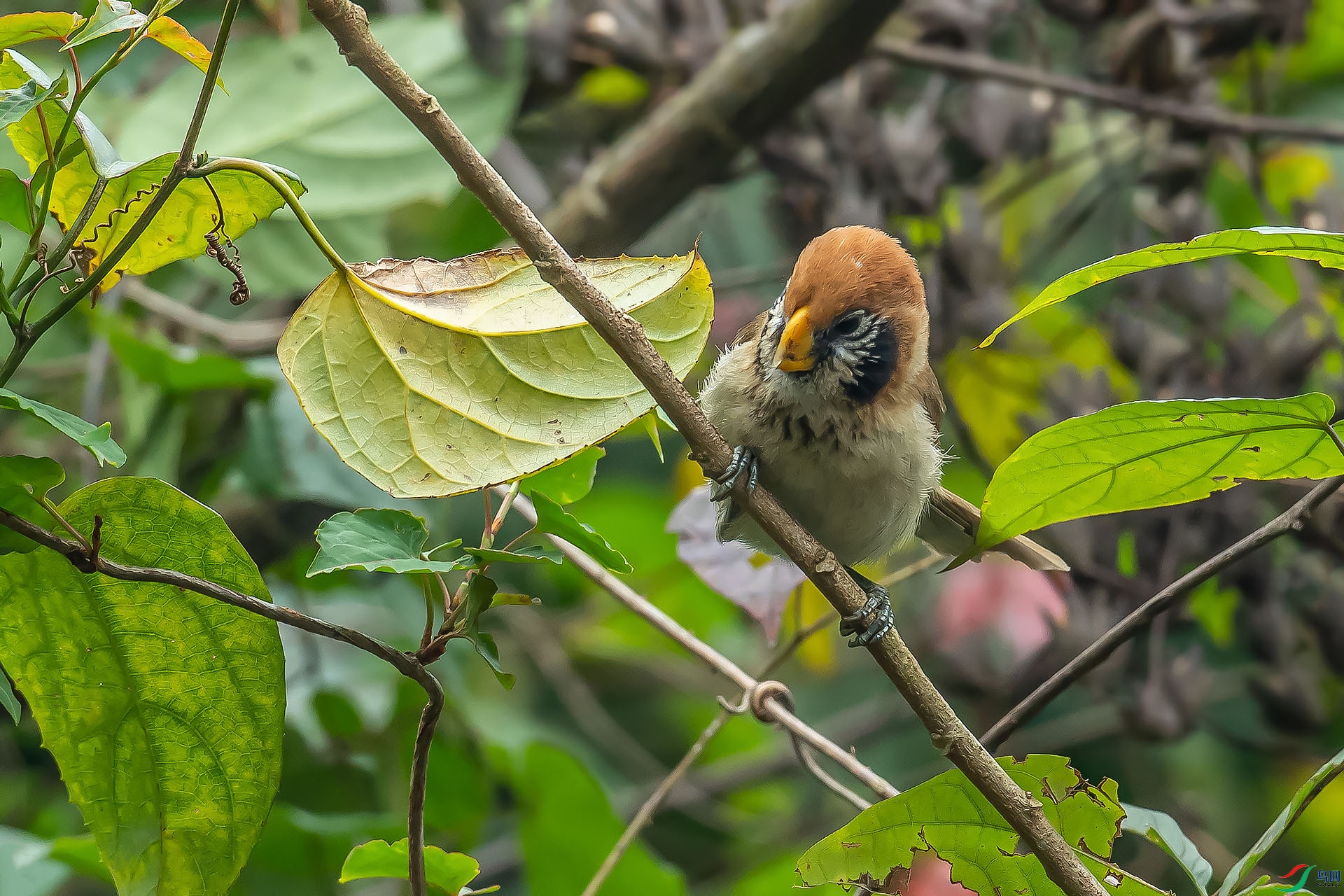 DSC_8180.jpg