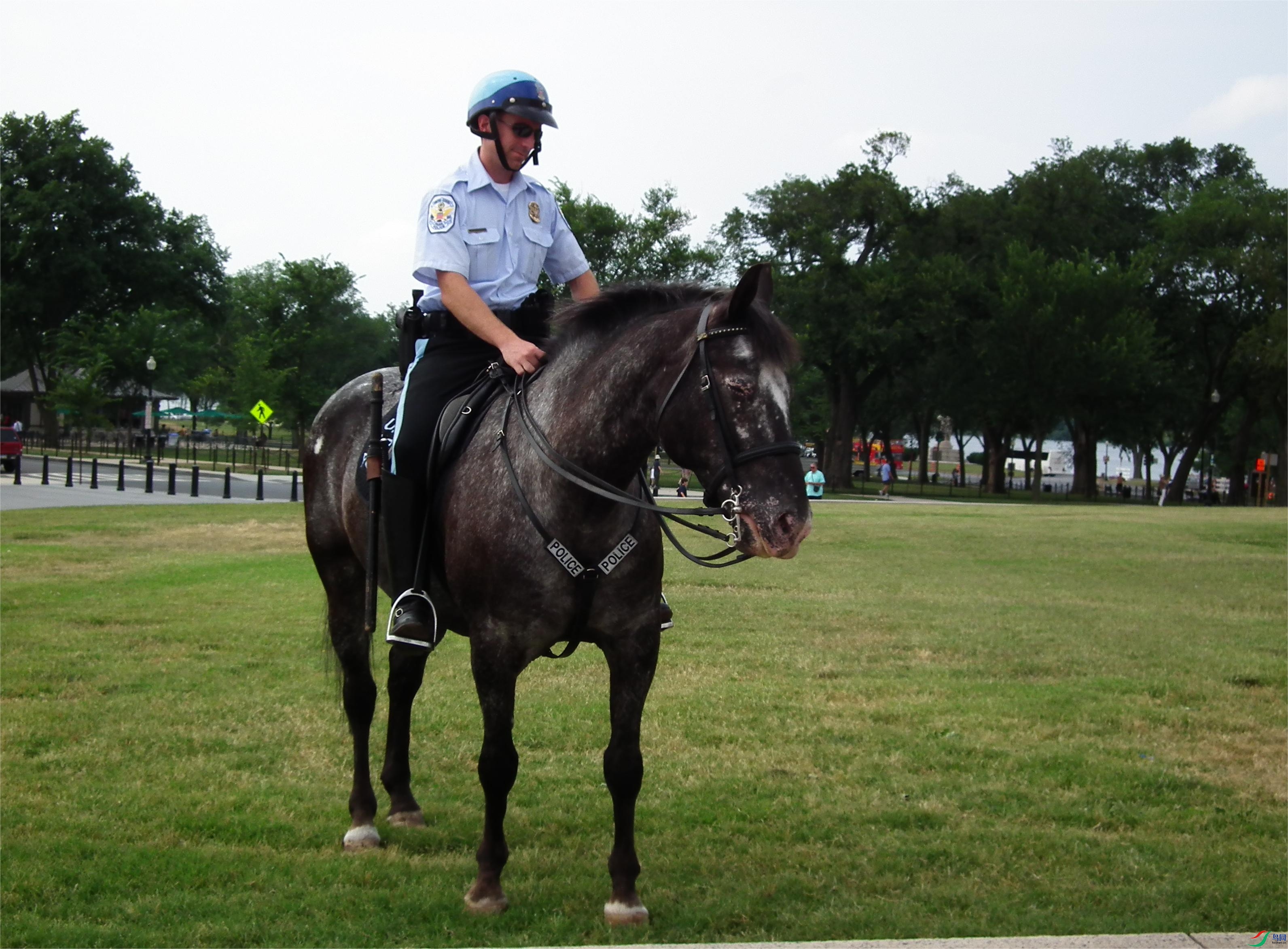 �����Ĺ��ҹ�԰����3