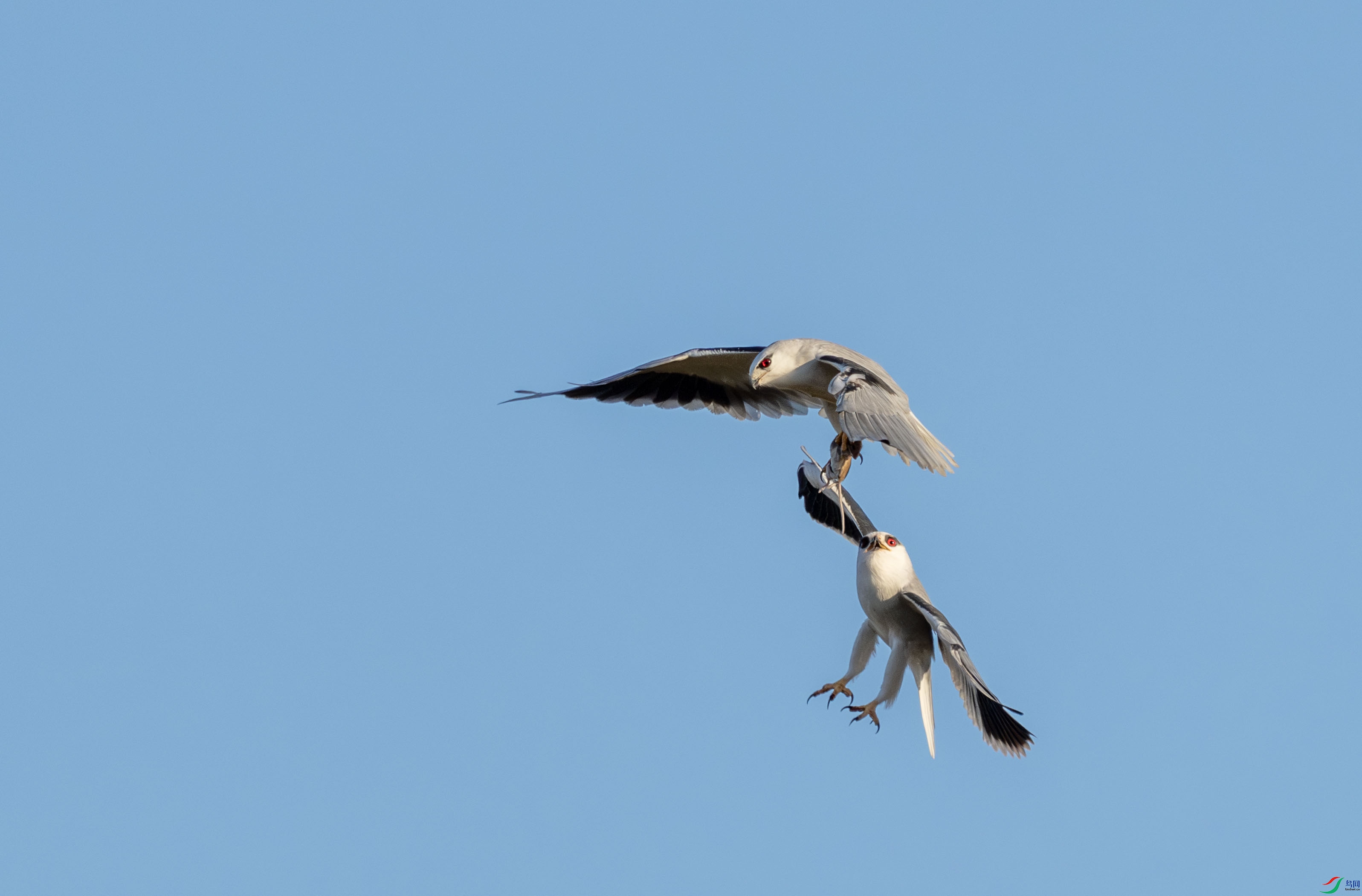 DSC00239-����ǿ-NR ����.jpg