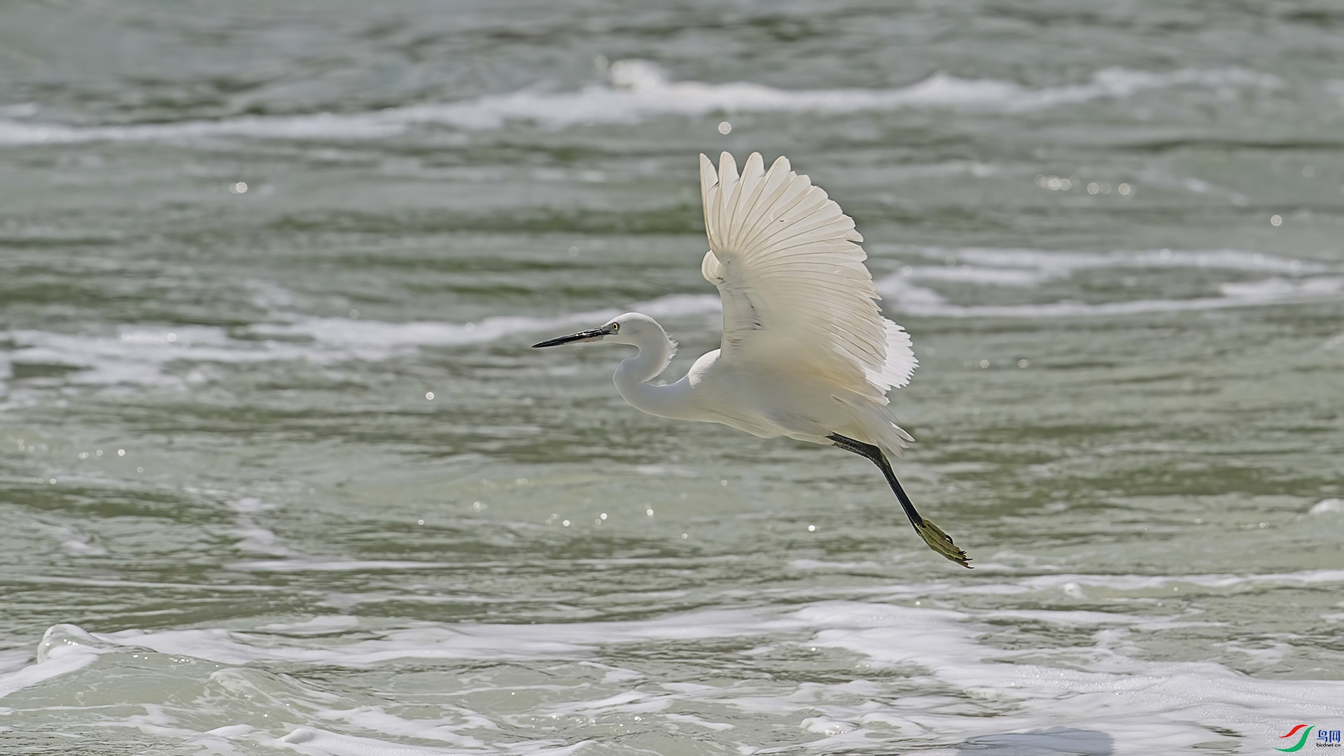 DSC_1015 ����-.jpg