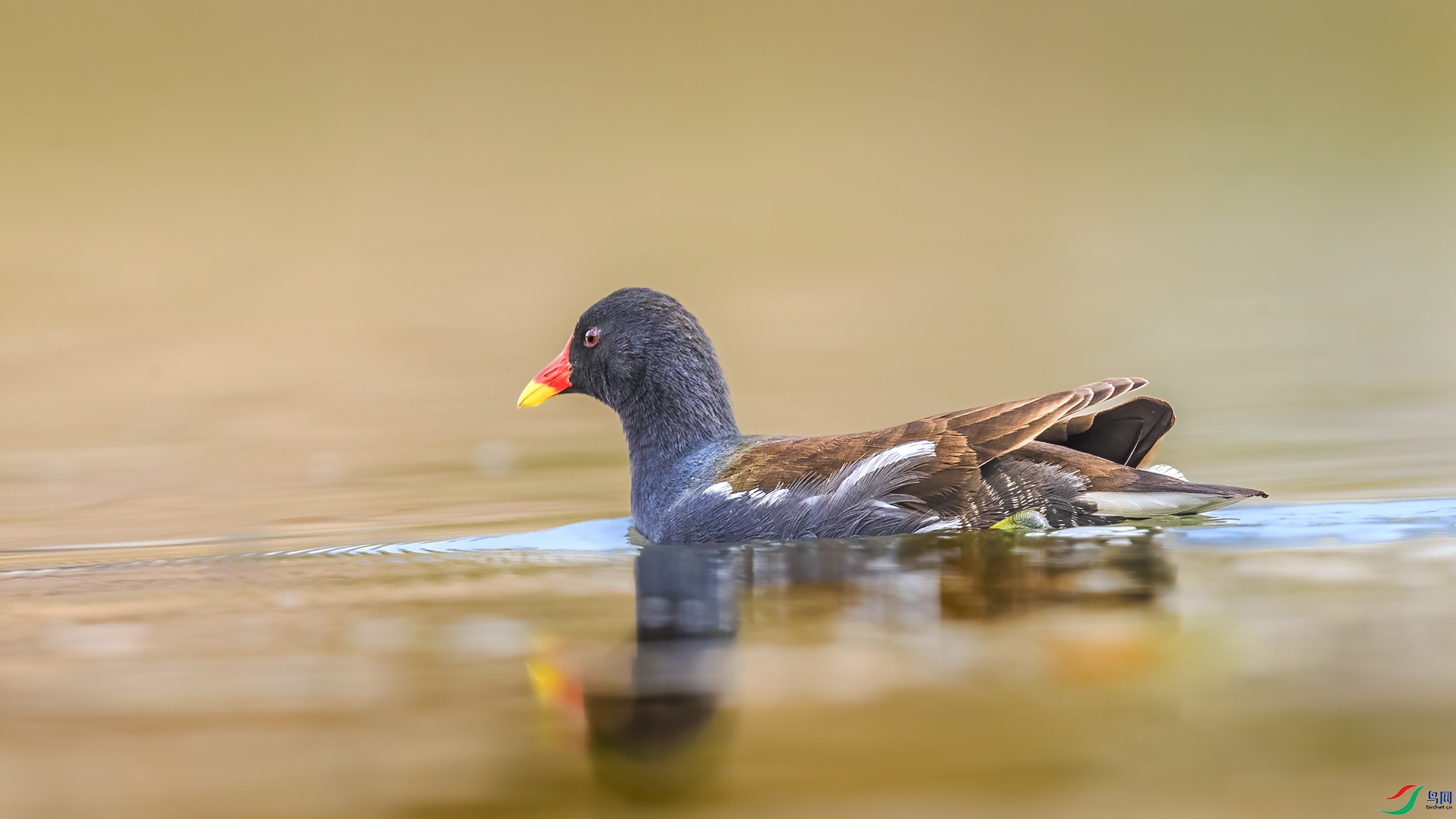 ��ˮ��_J1R0273.jpg