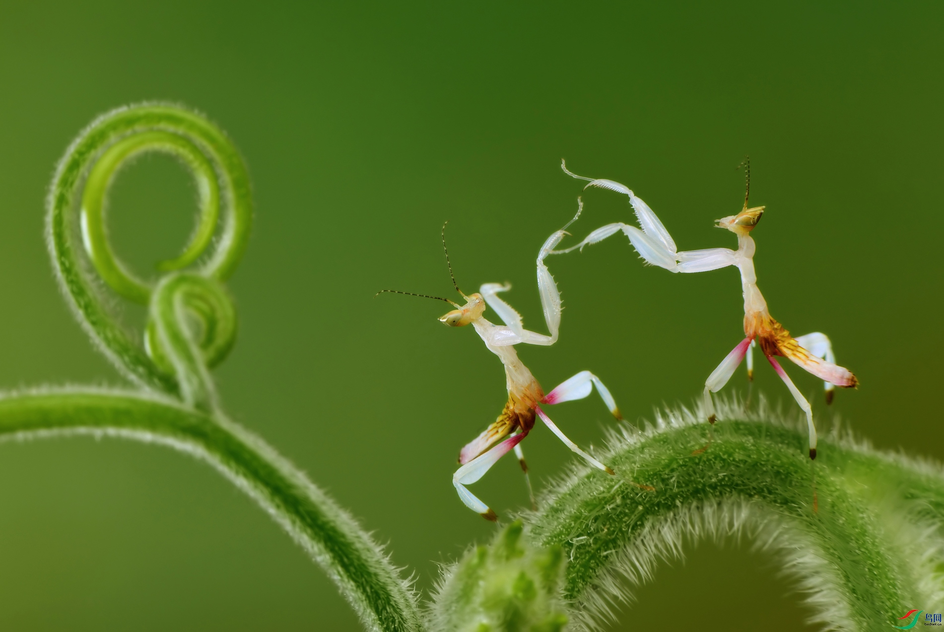 DSC_5577 ����..JPG