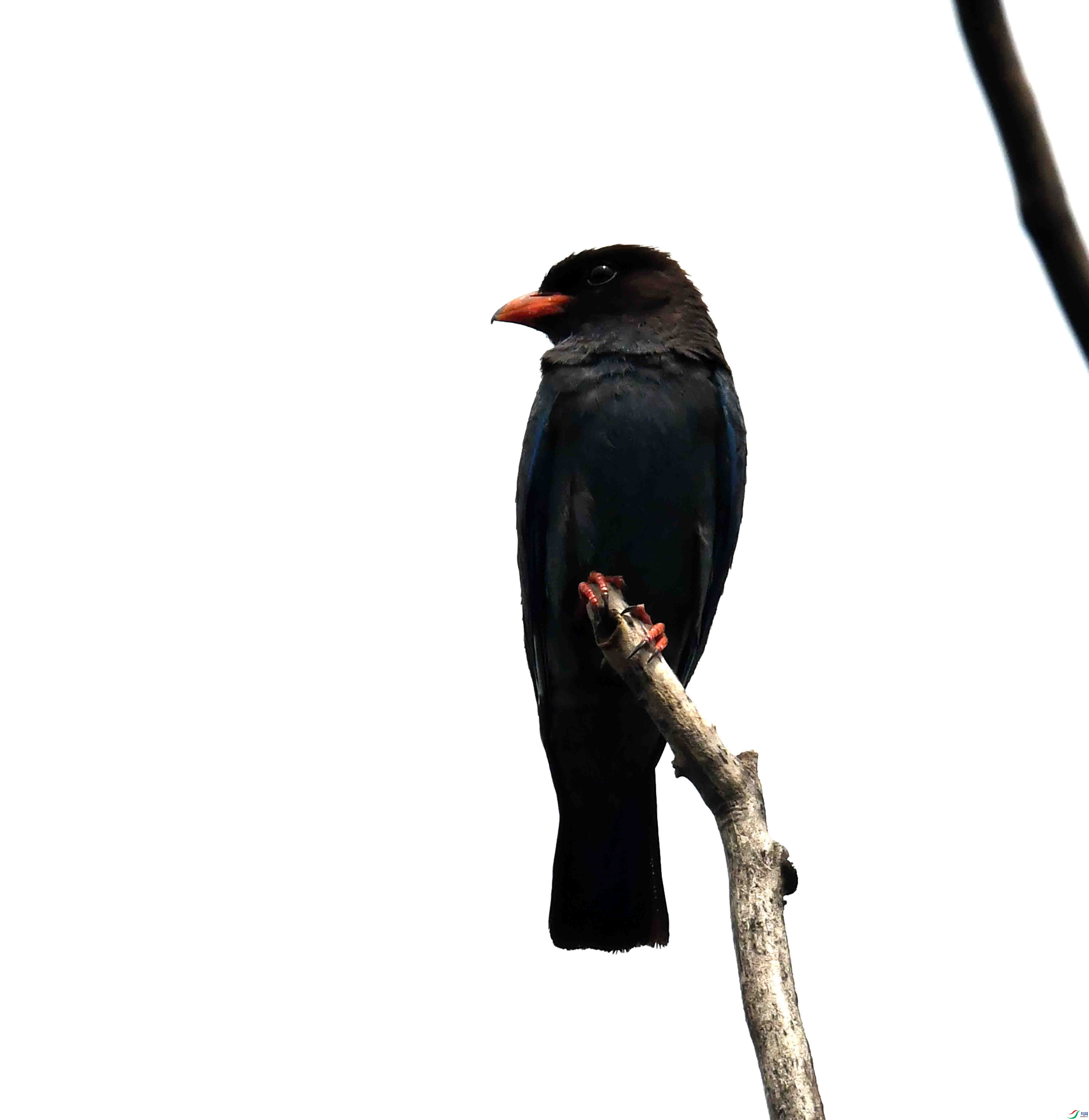DSC_2800.JPG