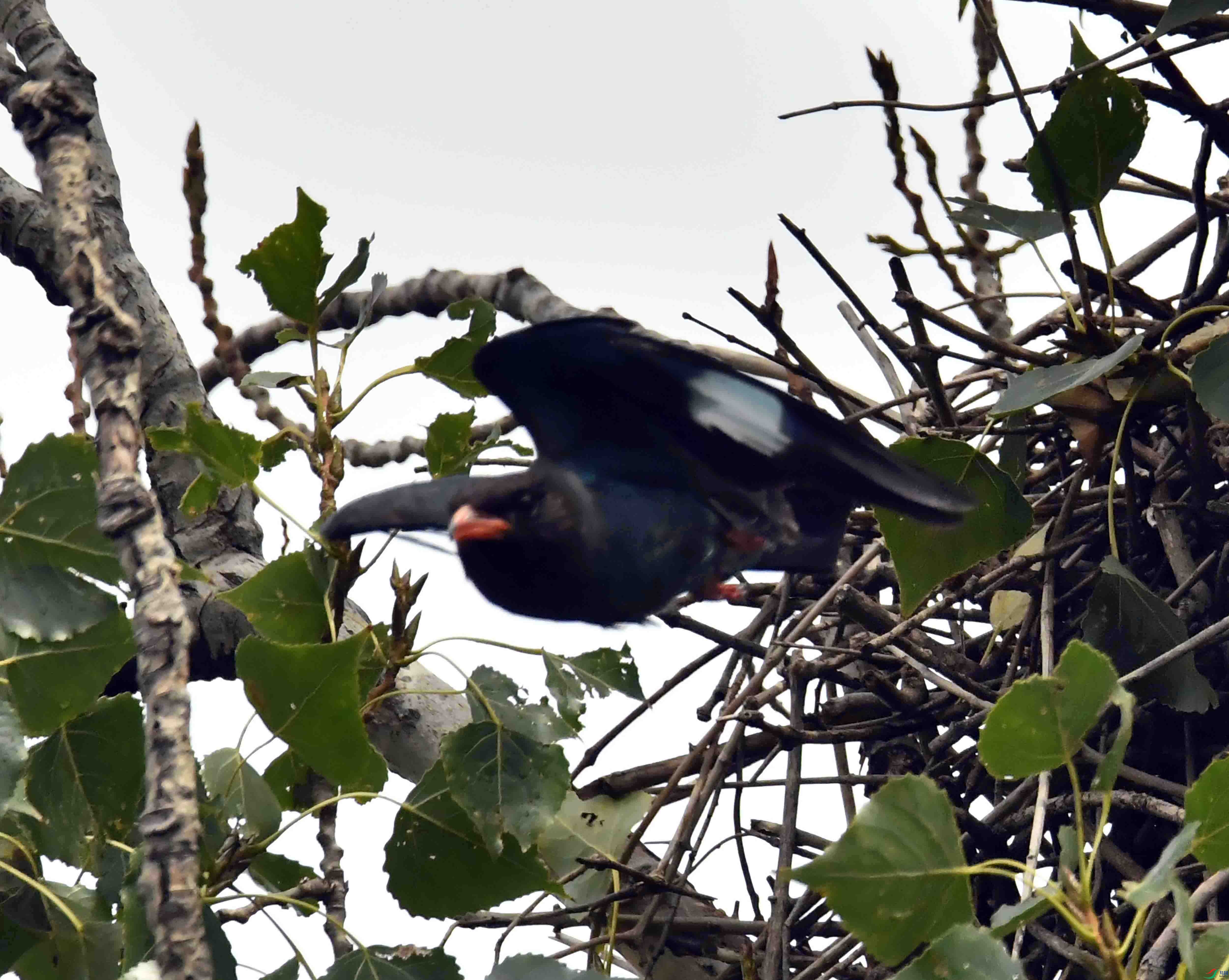 DSC_2873.JPG
