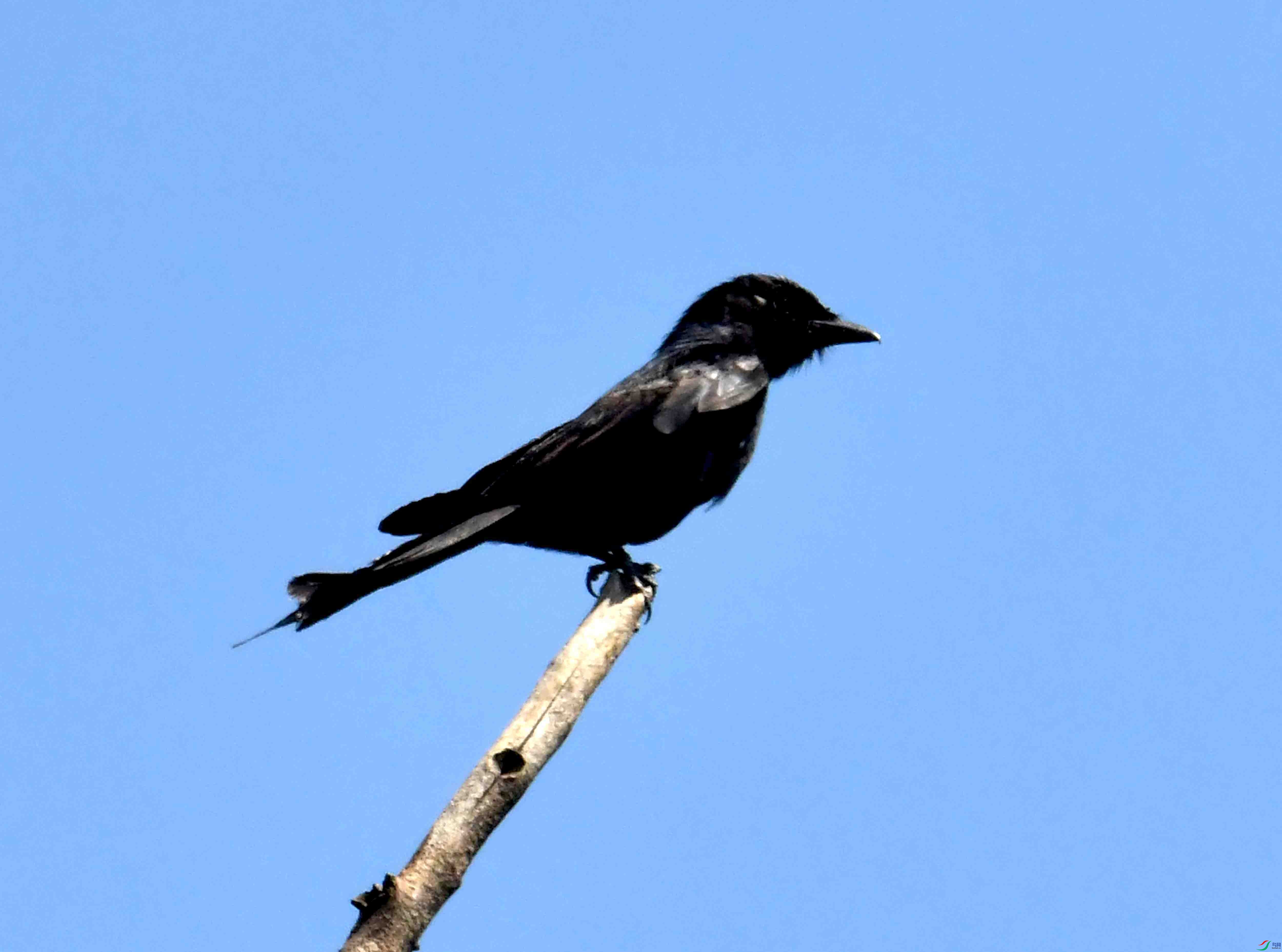 DSC_3817.JPG
