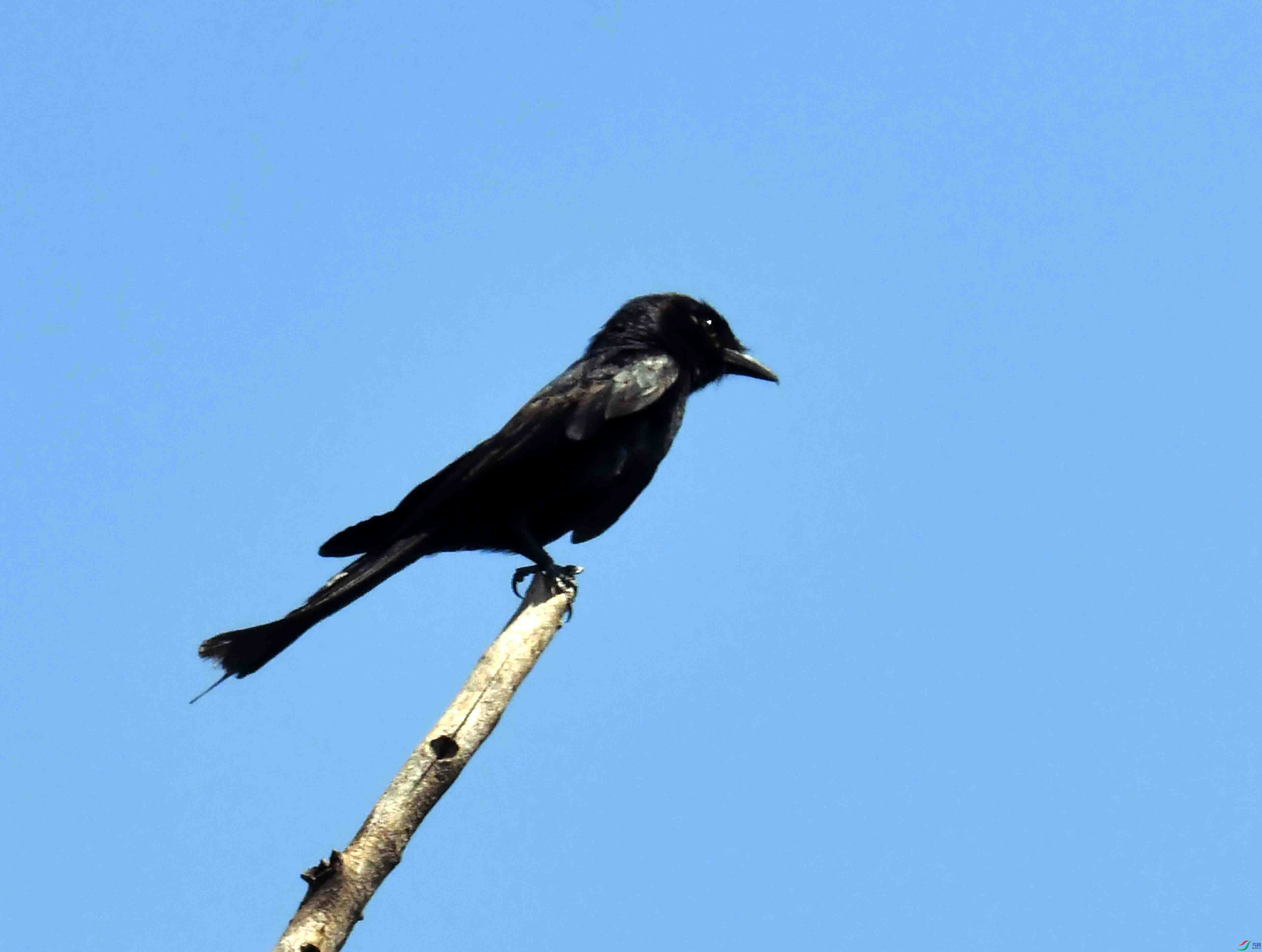 DSC_3833.JPG