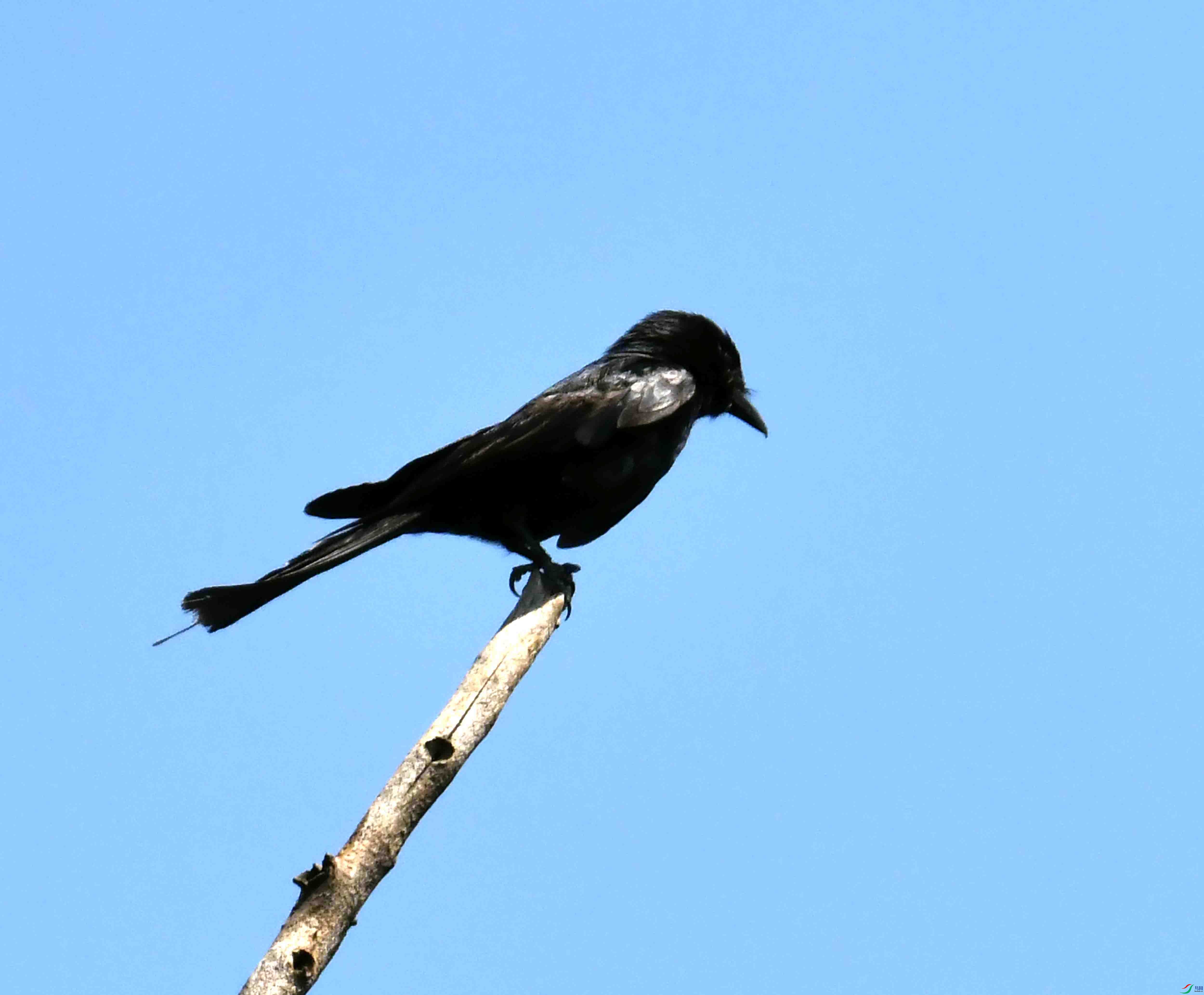 DSC_3843.JPG