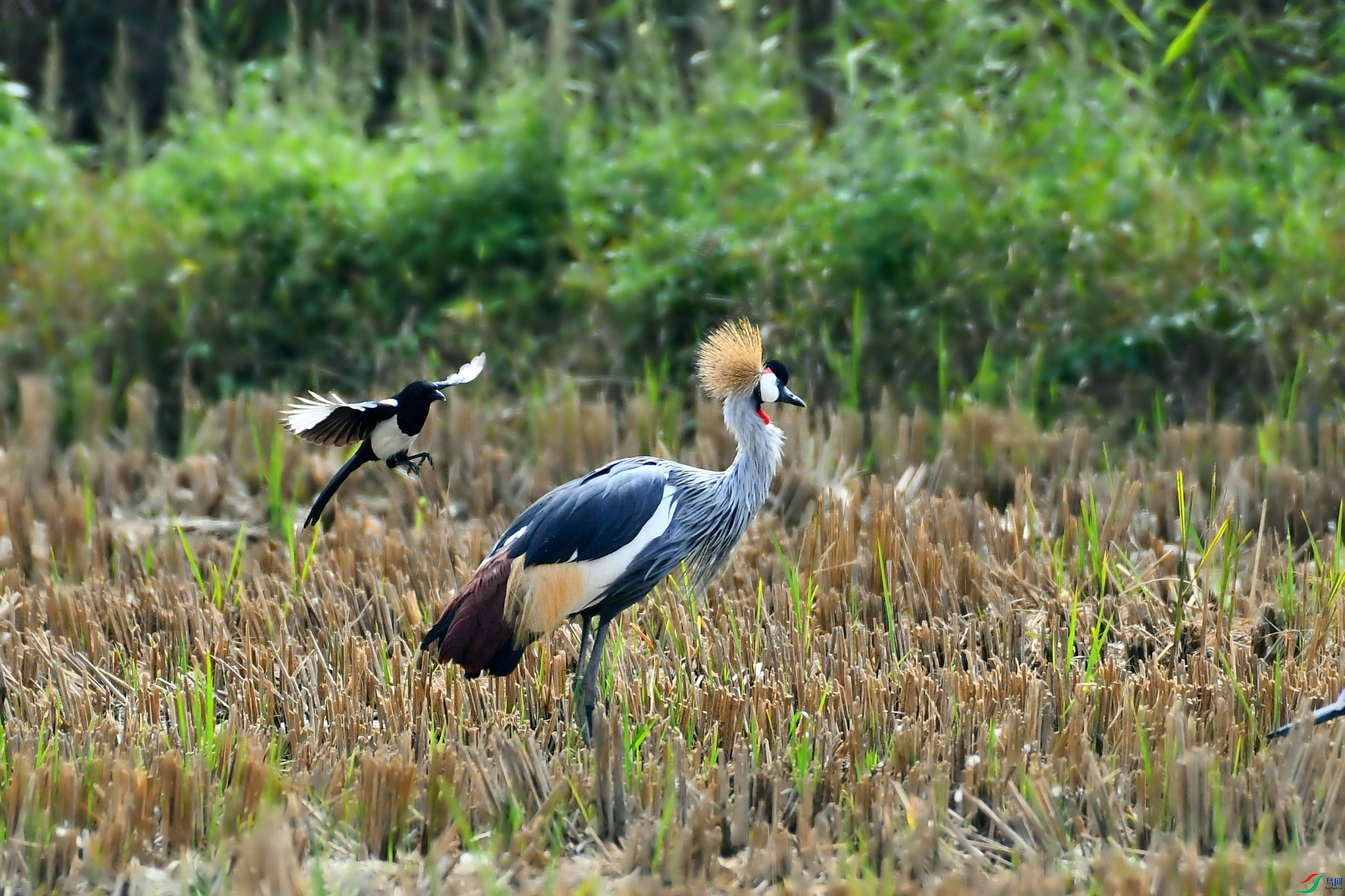 DSC_4240.JPG