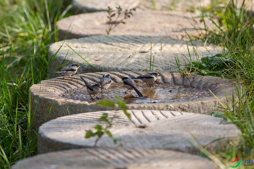 IMG_2890 ����.jpg