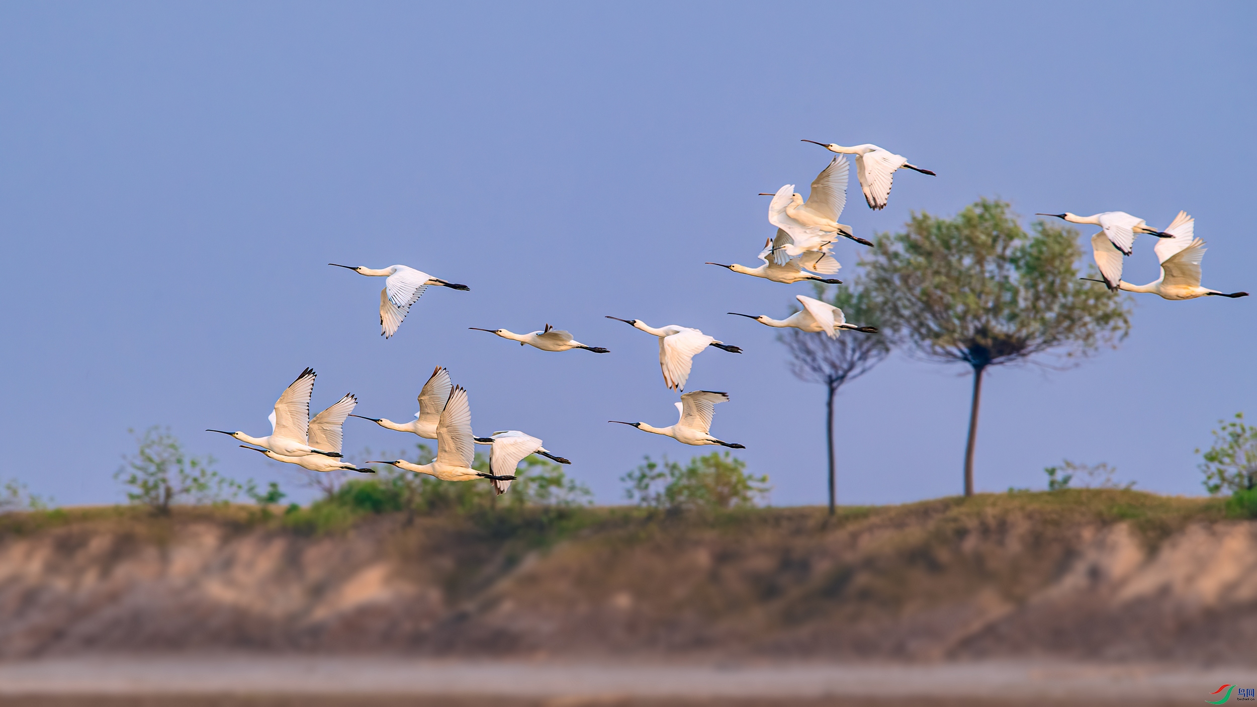 ��ƬDSC_6878 ����.jpg