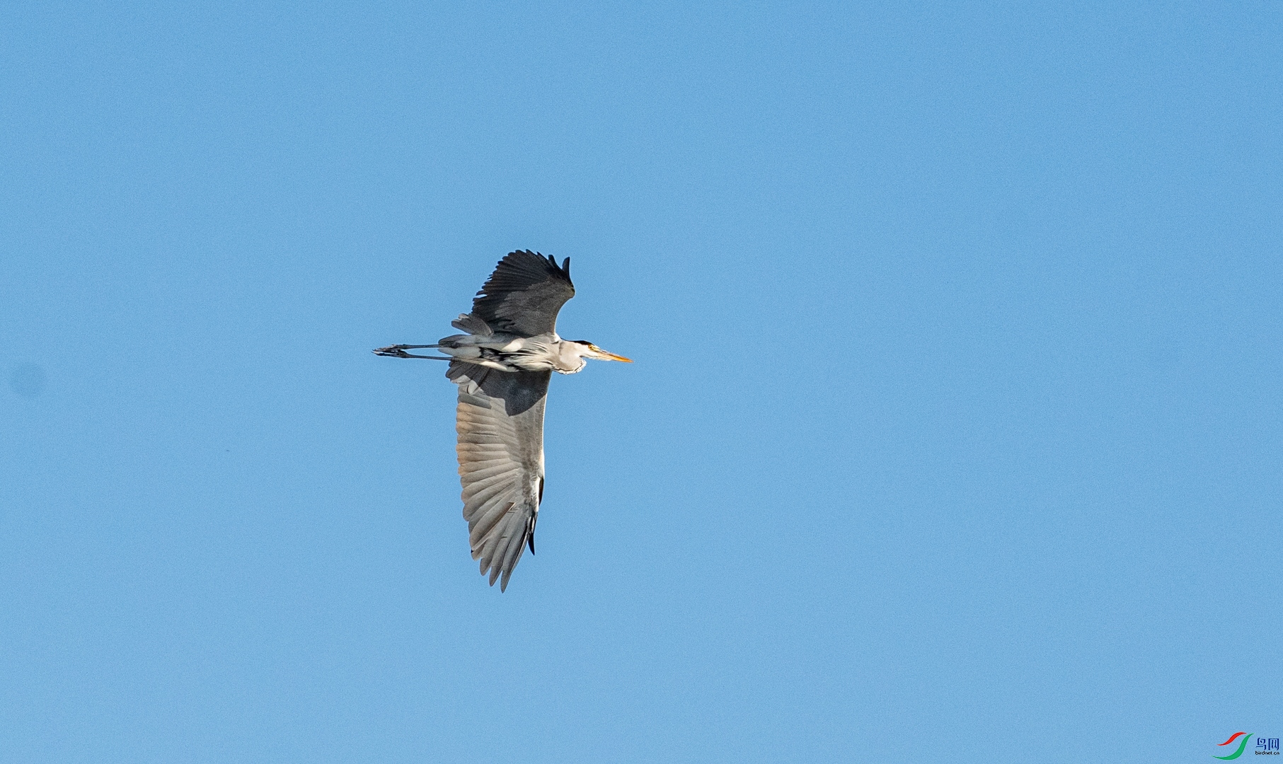 DSC_5124.jpg