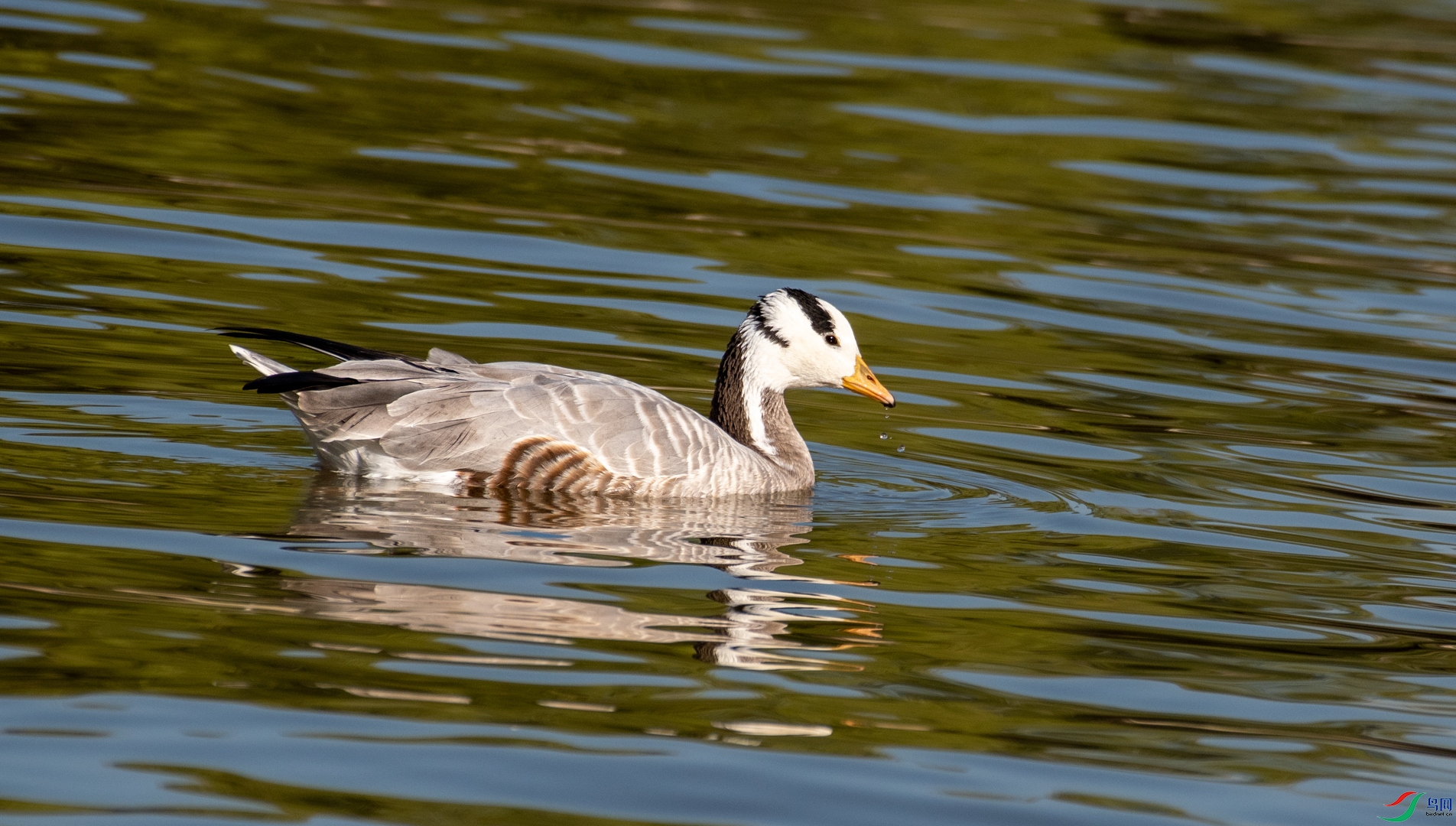 DSC_5147.jpg