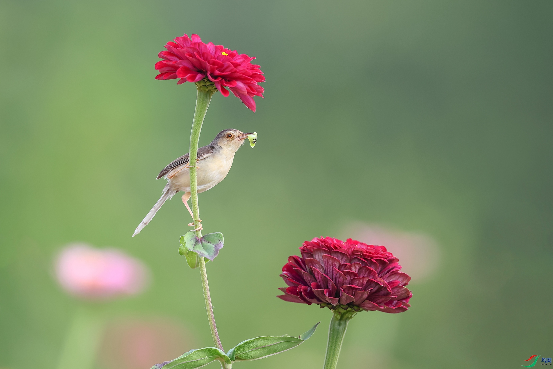 0E2A7180_����.jpg