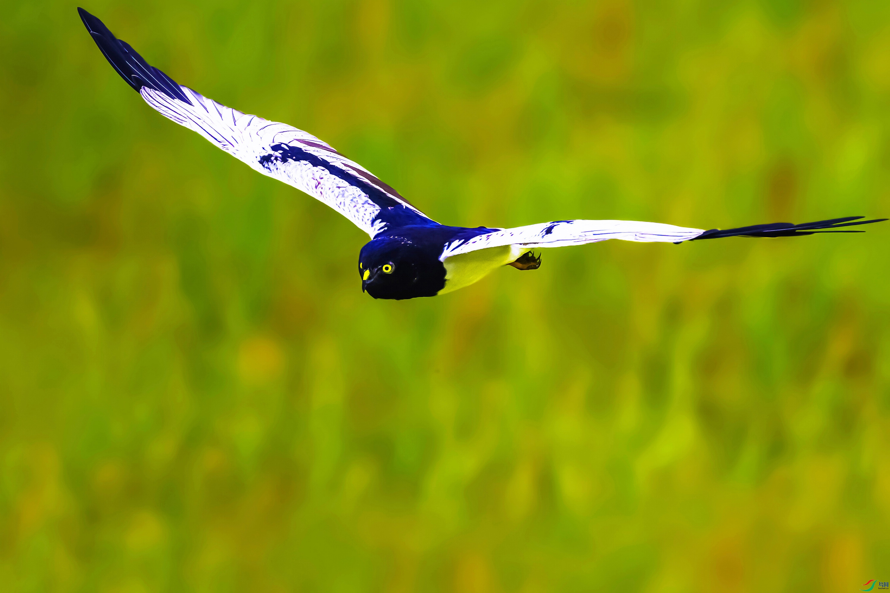 A56I3551 ����.jpg