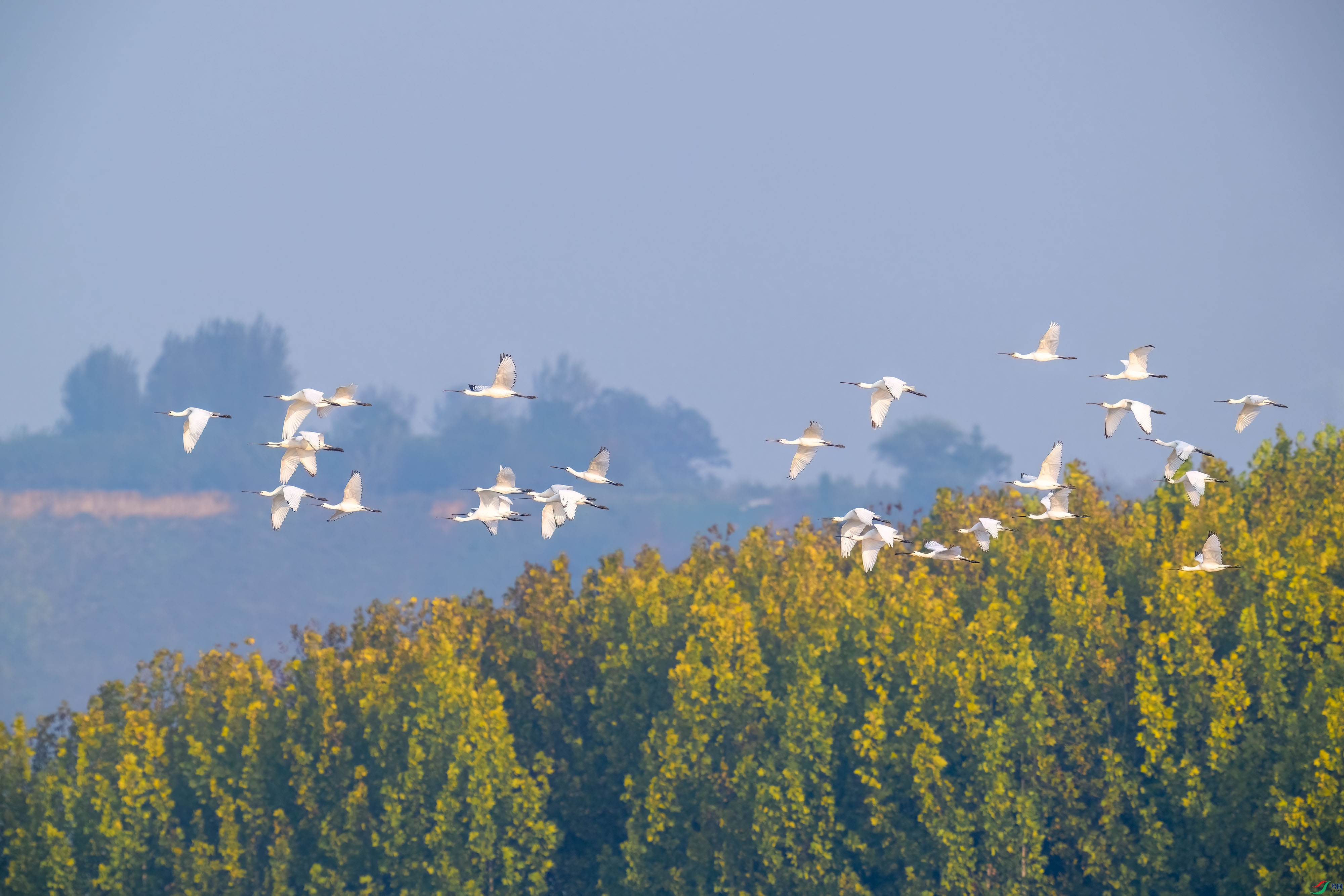 _DSC8339-1.jpg