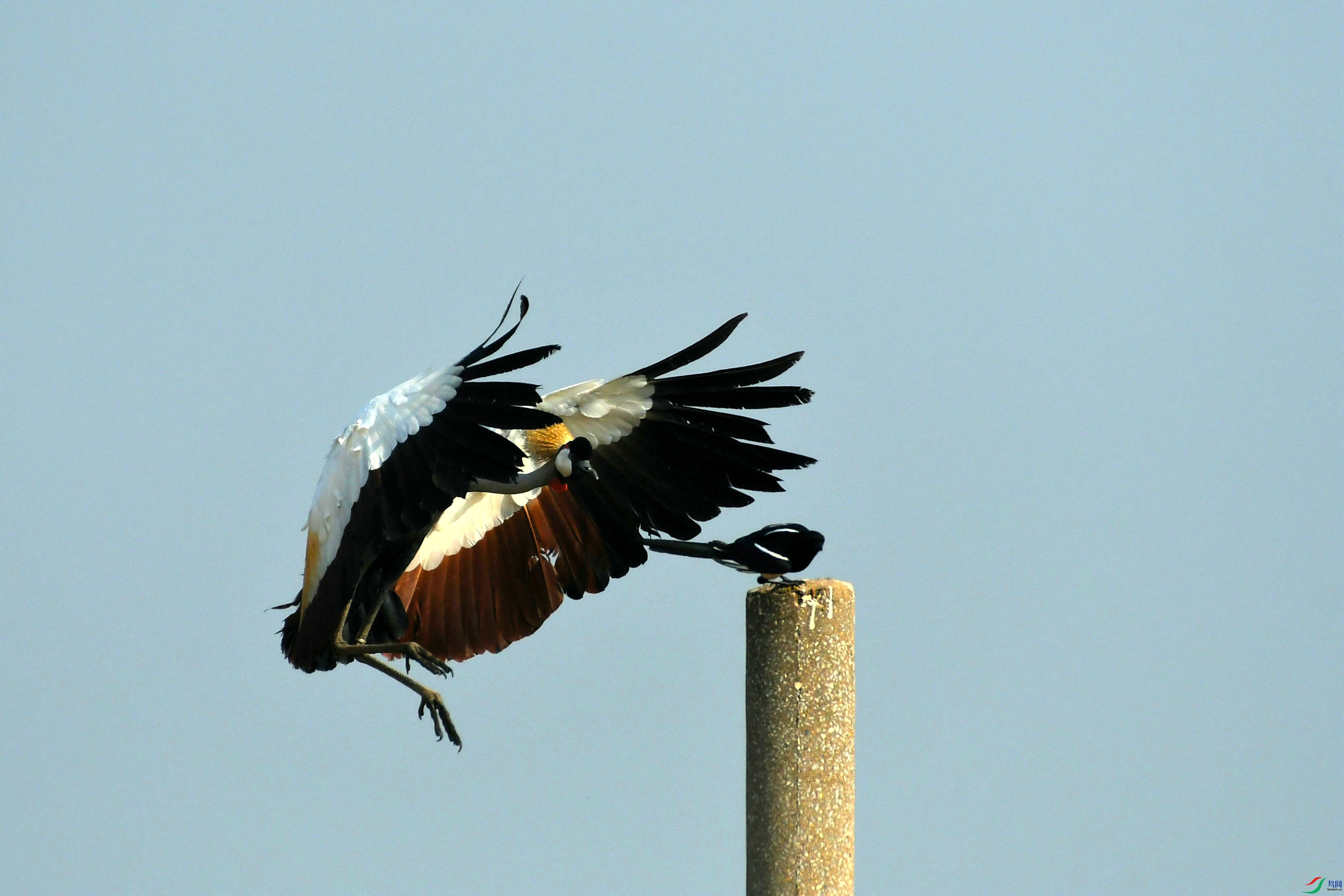 DSC_5283.JPG