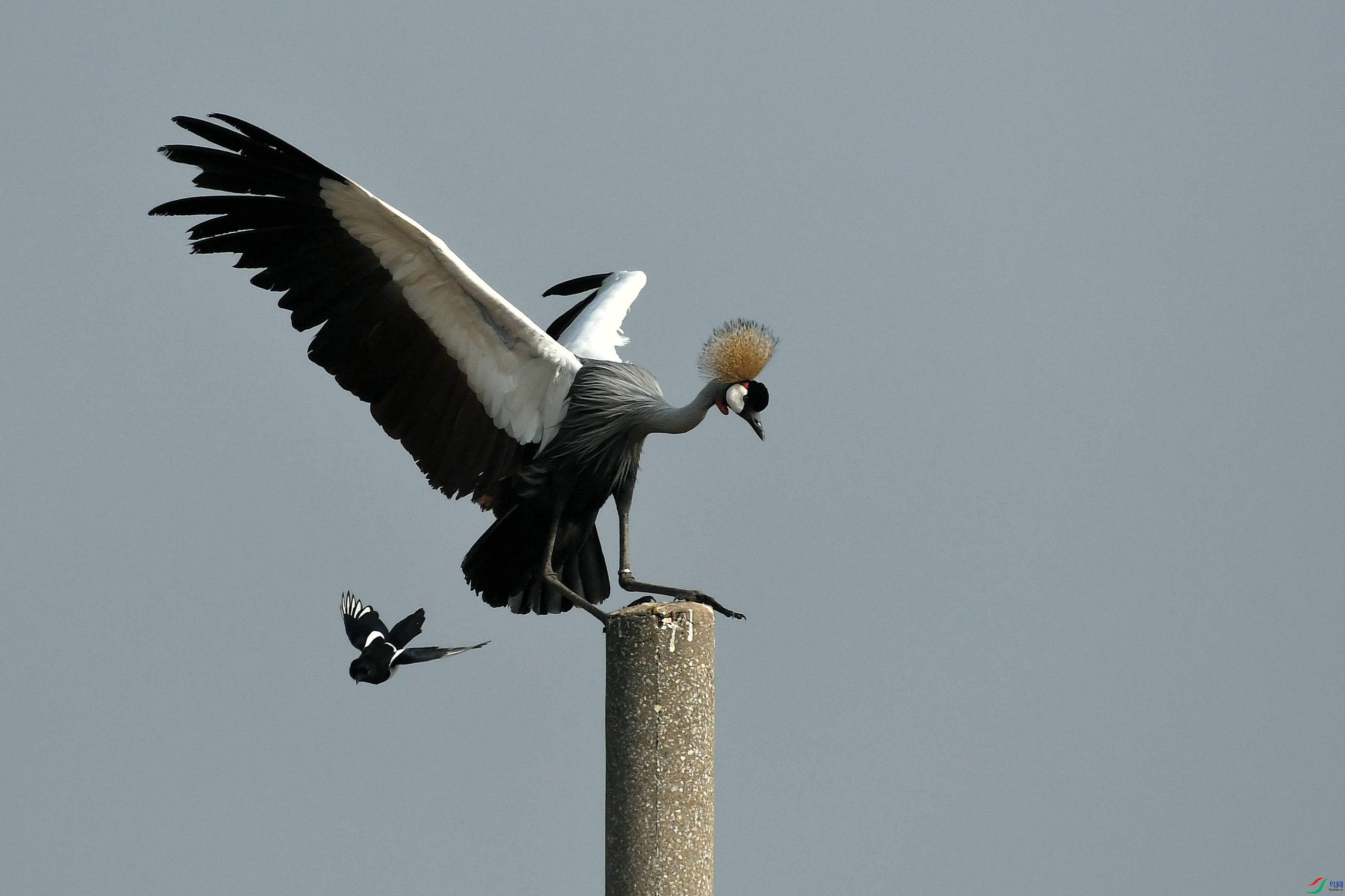 DSC_5287.JPG