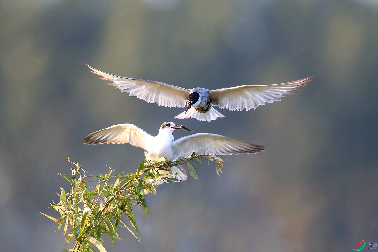 ������  ����  ͧ��  ��һ.jpg