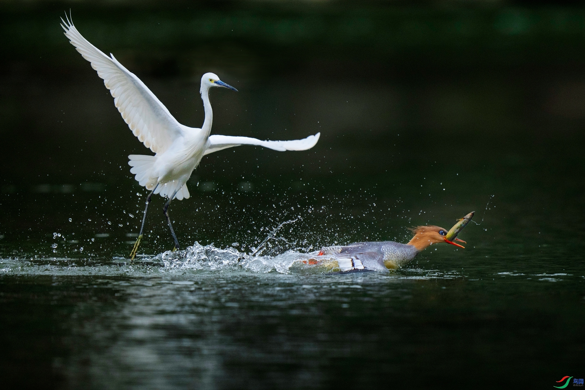 ׷��  ����  �ϫ �ܶ�.jpg