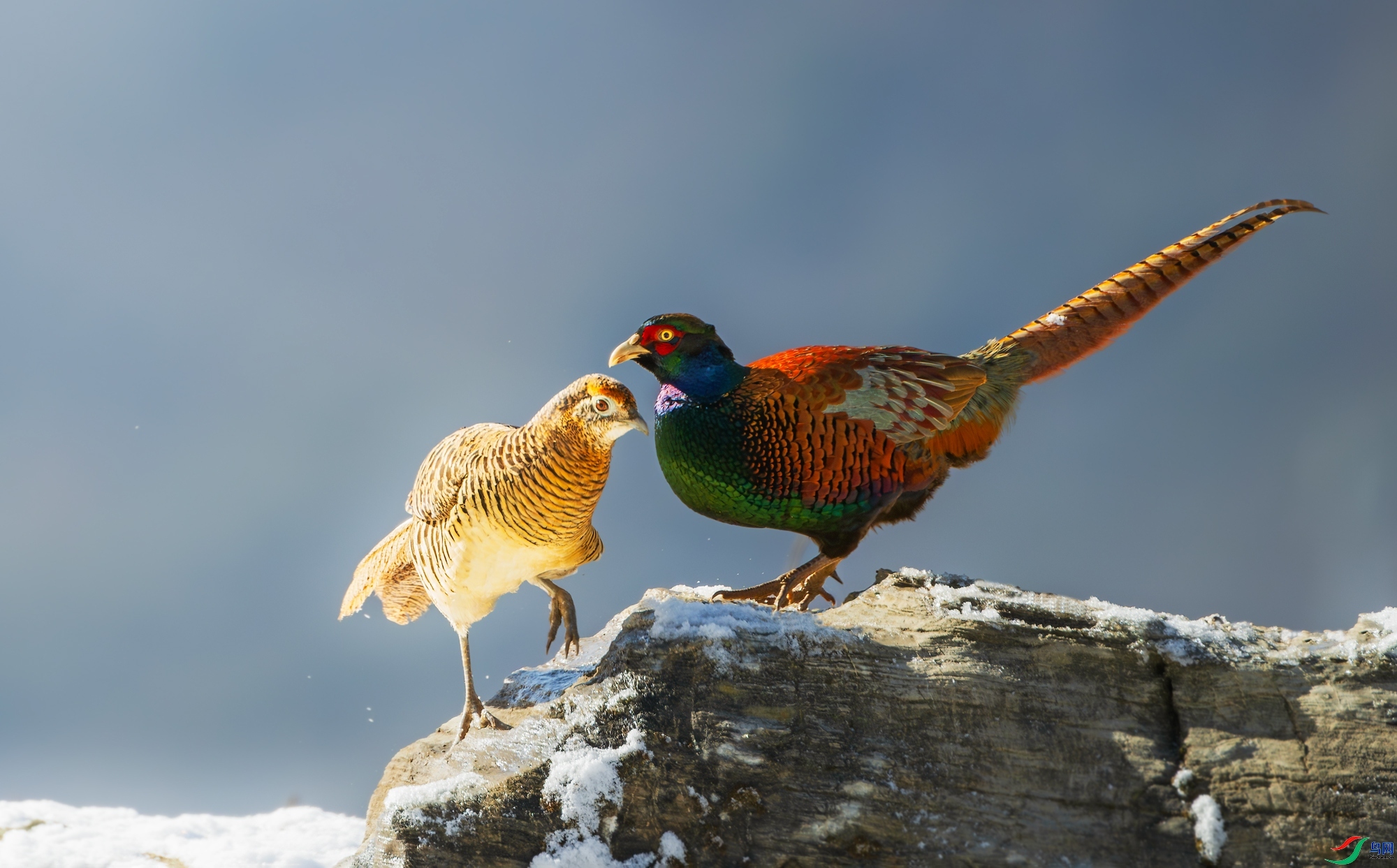 ���� ���� ��������  �ܶ�.jpg