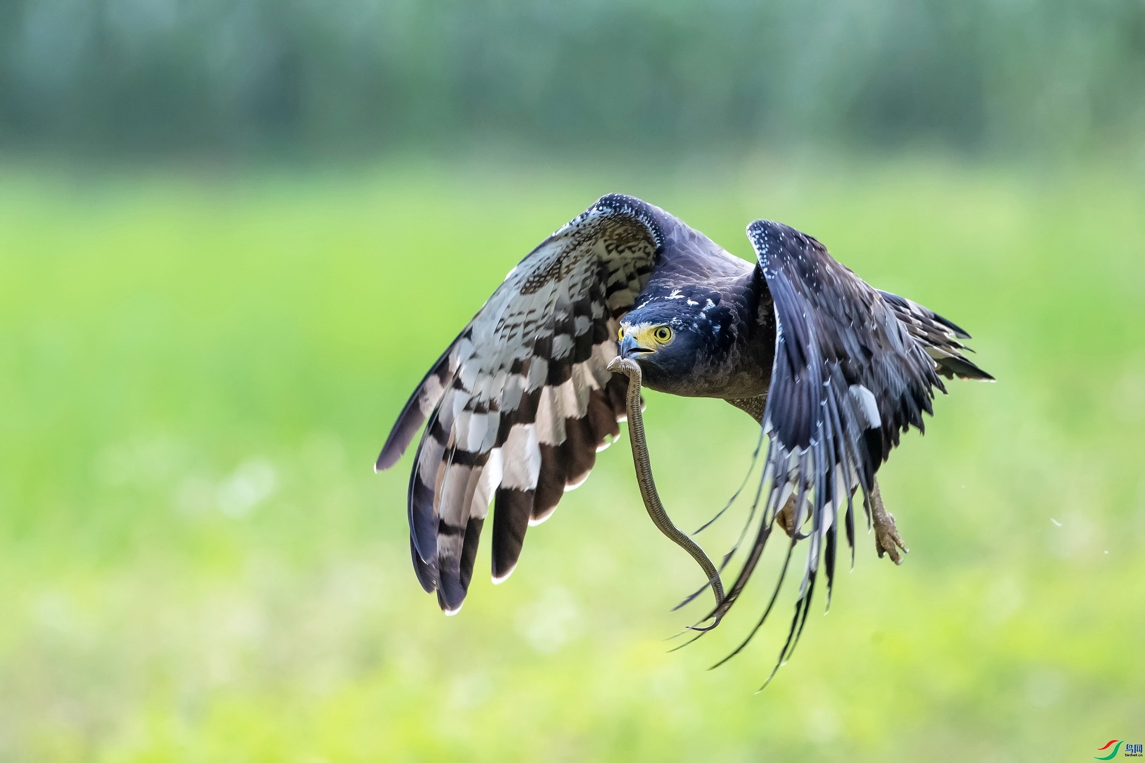 �ջ�  ���� ��ʯ  ��һ.jpg