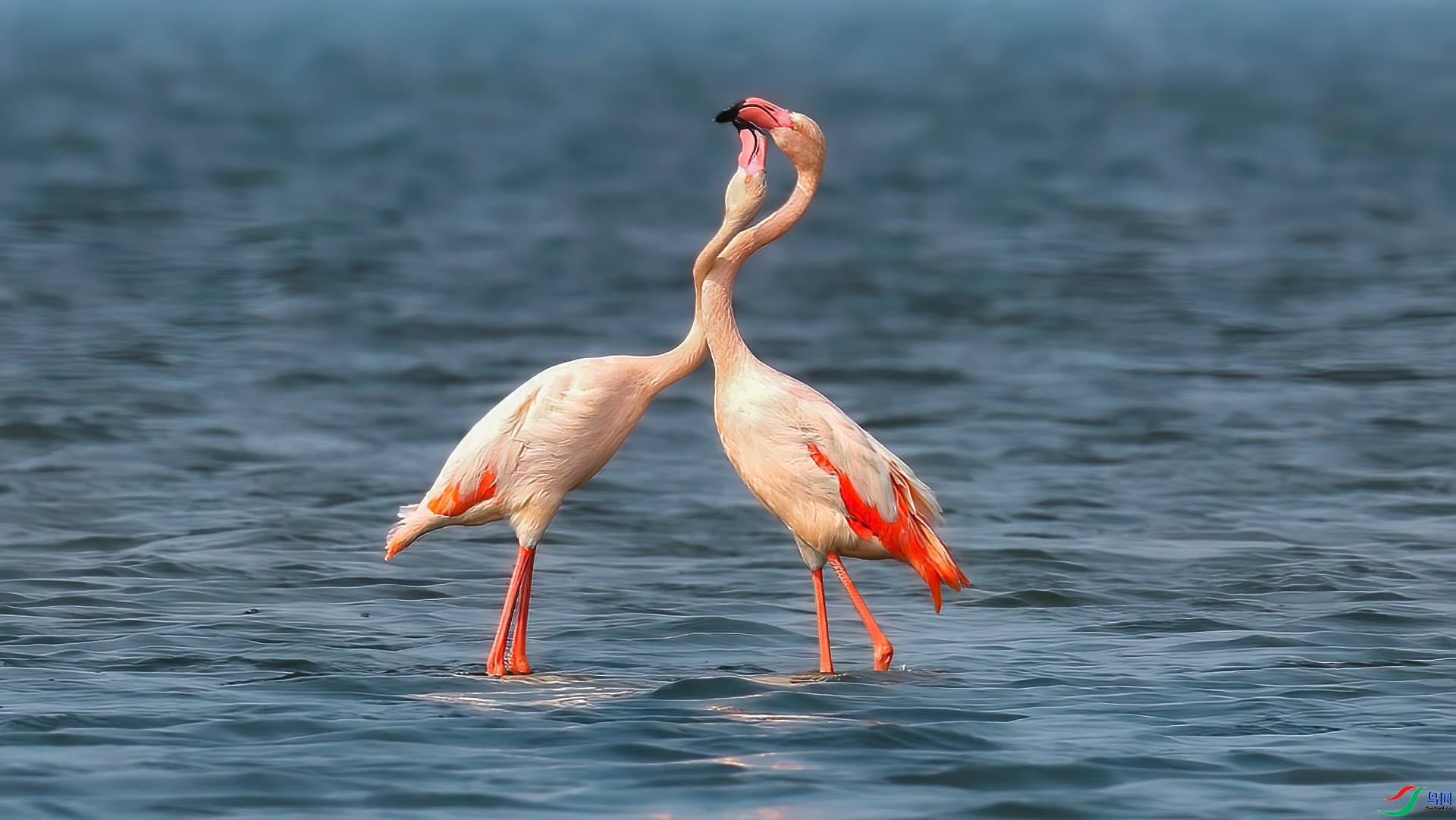 ����  ���� ��־����  ����.jpg