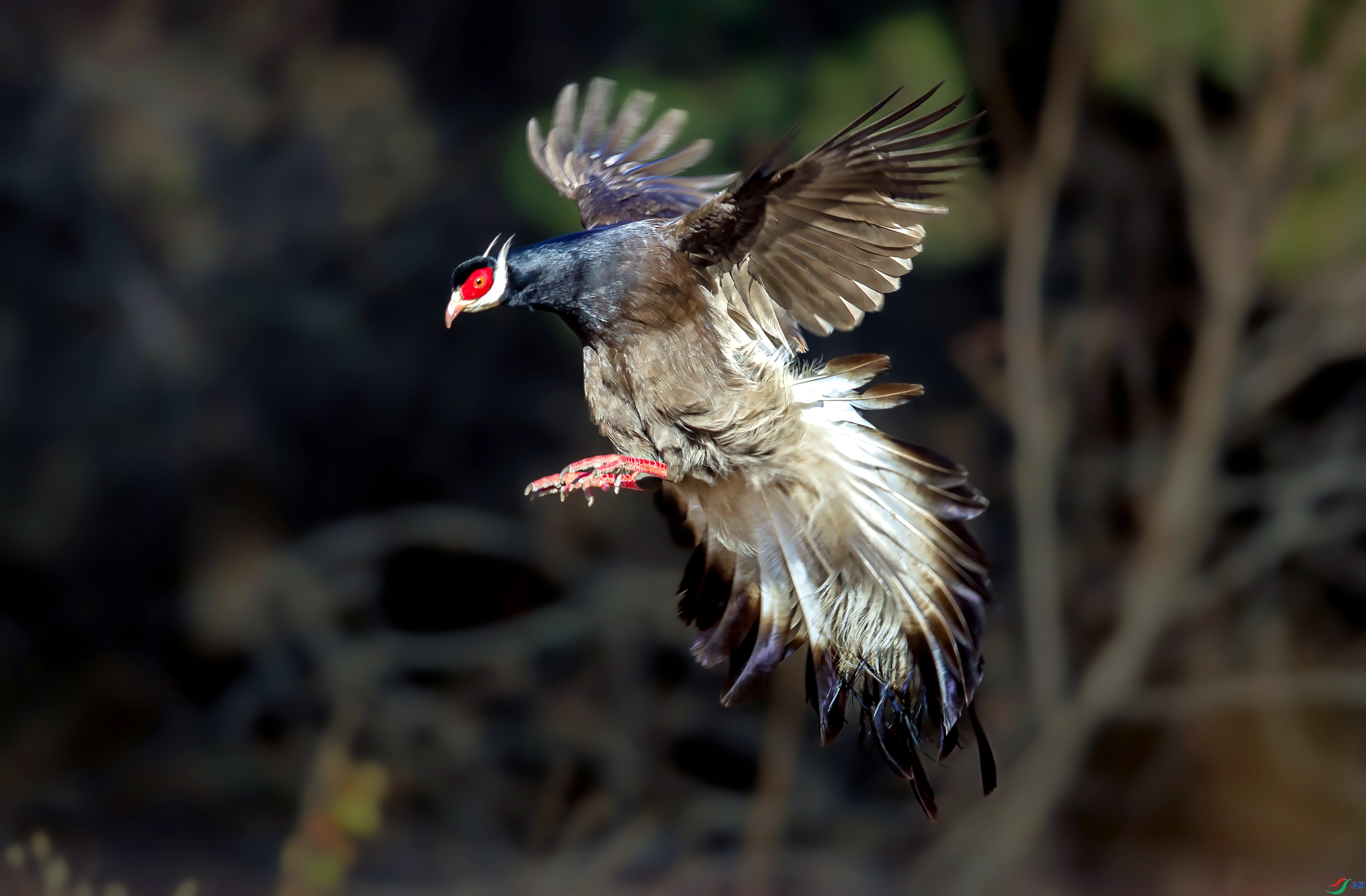 ������ ���� ����ZL   ��һ.jpg